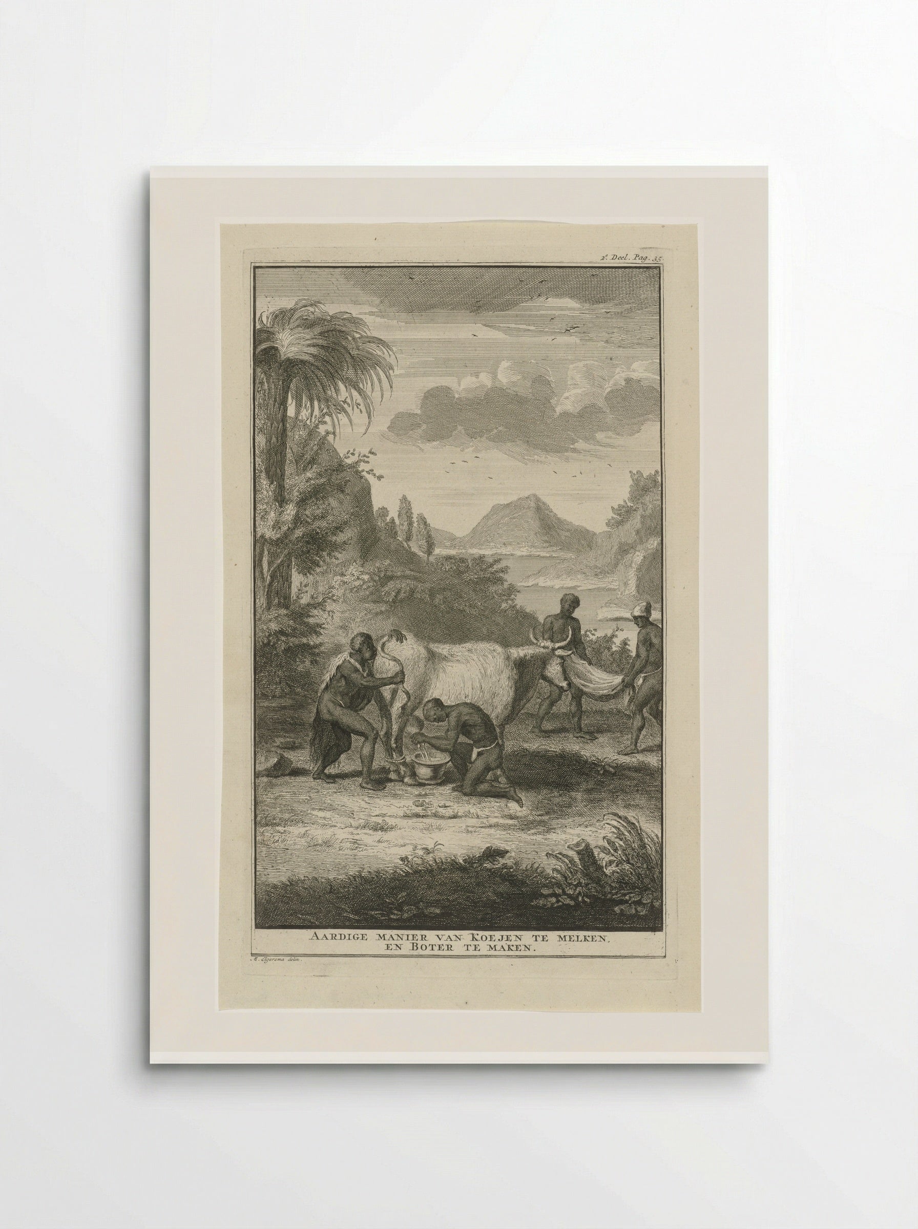 Khoikhoi die een koe melkt - Jan Caspar Philips - Poster