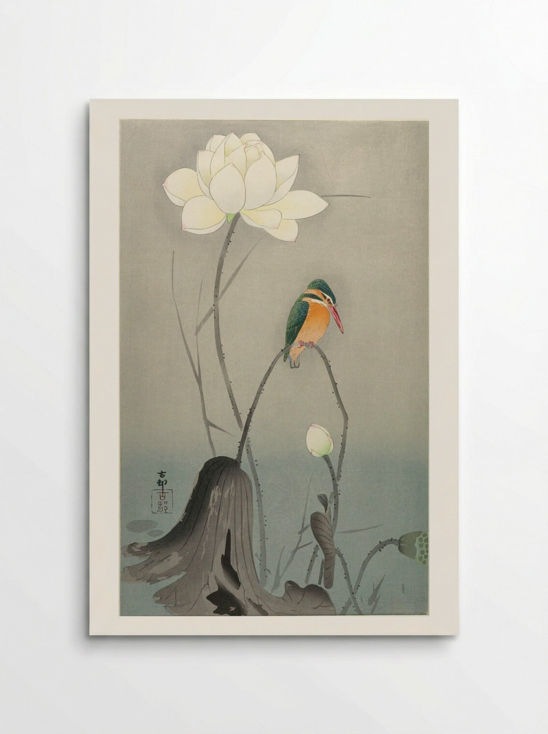 Kingfisher with Lotus Flower - Ohara Koson - Poster