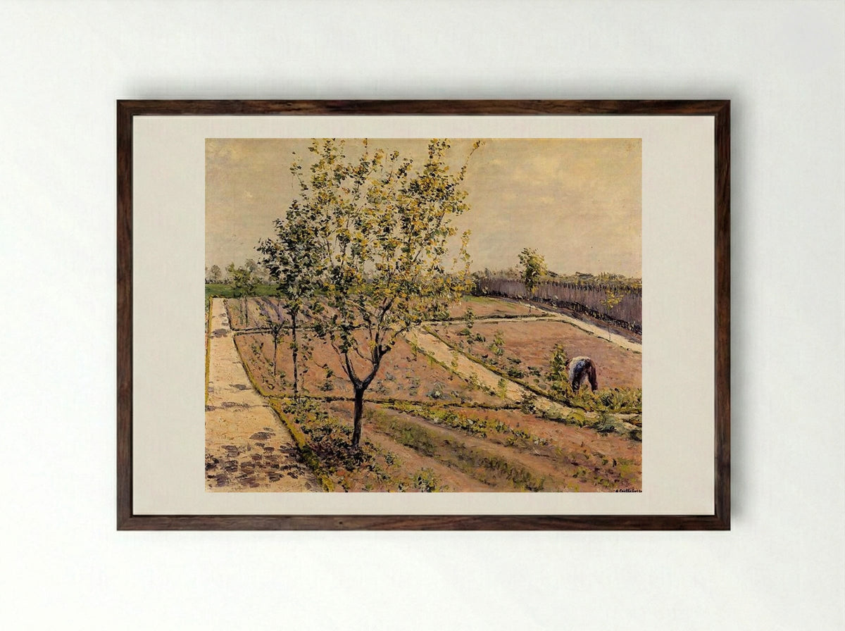 Kitchen Garden, Petit Gennevilliers - Gustave Caillebotte - Framed Print Dark Wood