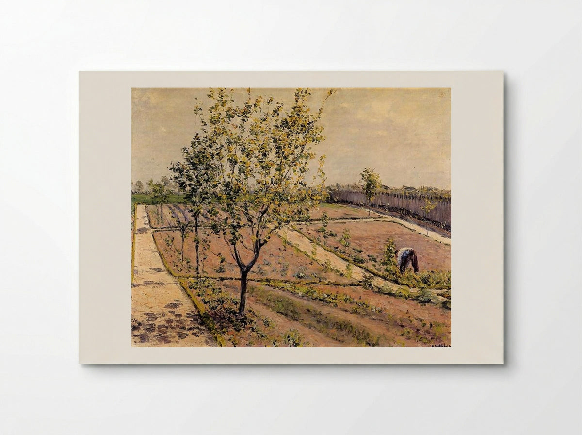 Kitchen Garden, Petit Gennevilliers - Gustave Caillebotte - Poster