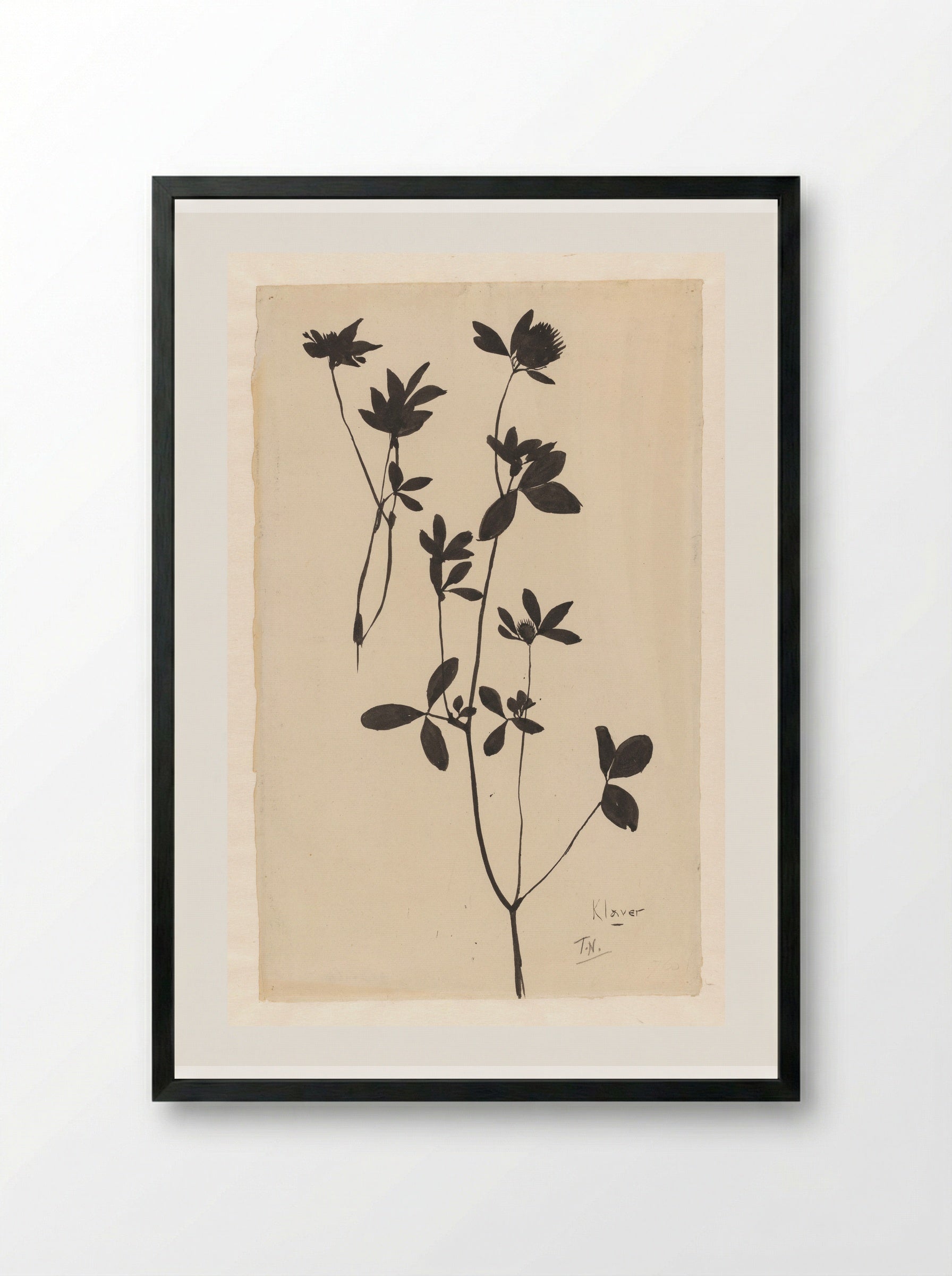 Klaver (Clover) - Theo Nieuwenhuis - Framed Print Black