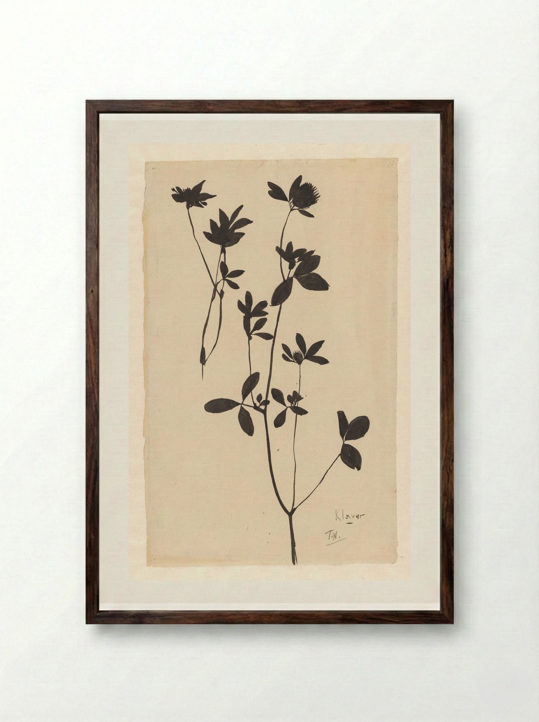 Klaver (Clover) - Theo Nieuwenhuis - Framed Print Dark Wood
