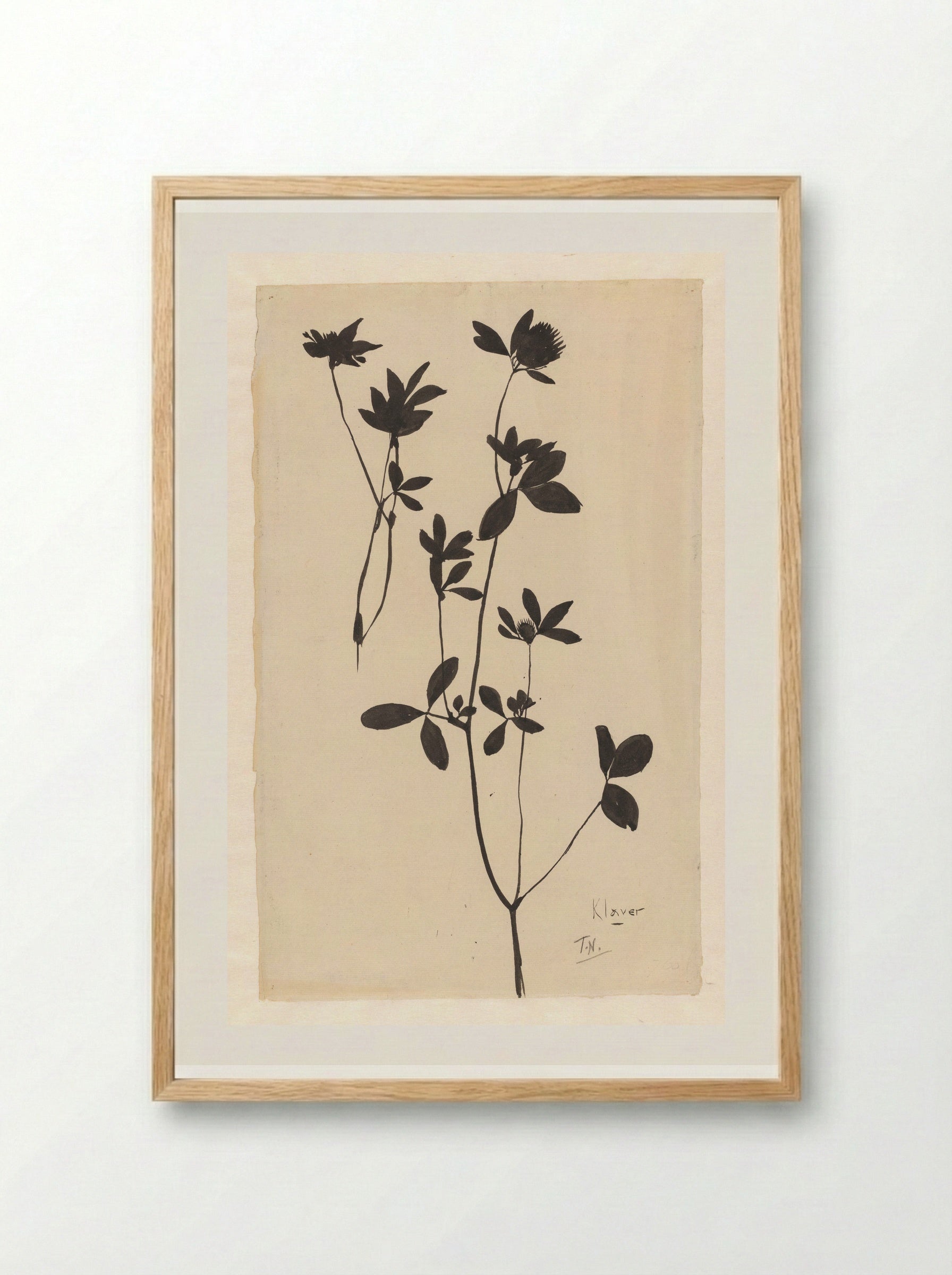 Klaver (Clover) - Theo Nieuwenhuis - Framed Print Wood