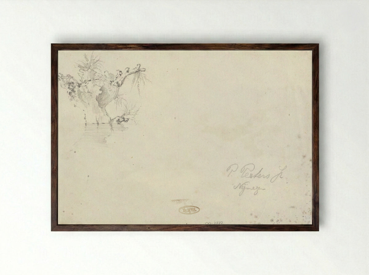 Knotwilg (Study of a Pollarded Willow) - Pieter Francis Peters jr. - Framed Print Dark Wood