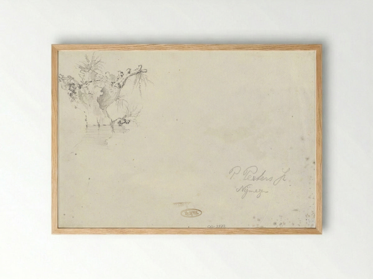 Knotwilg (Study of a Pollarded Willow) - Pieter Francis Peters jr. - Framed Print Wood