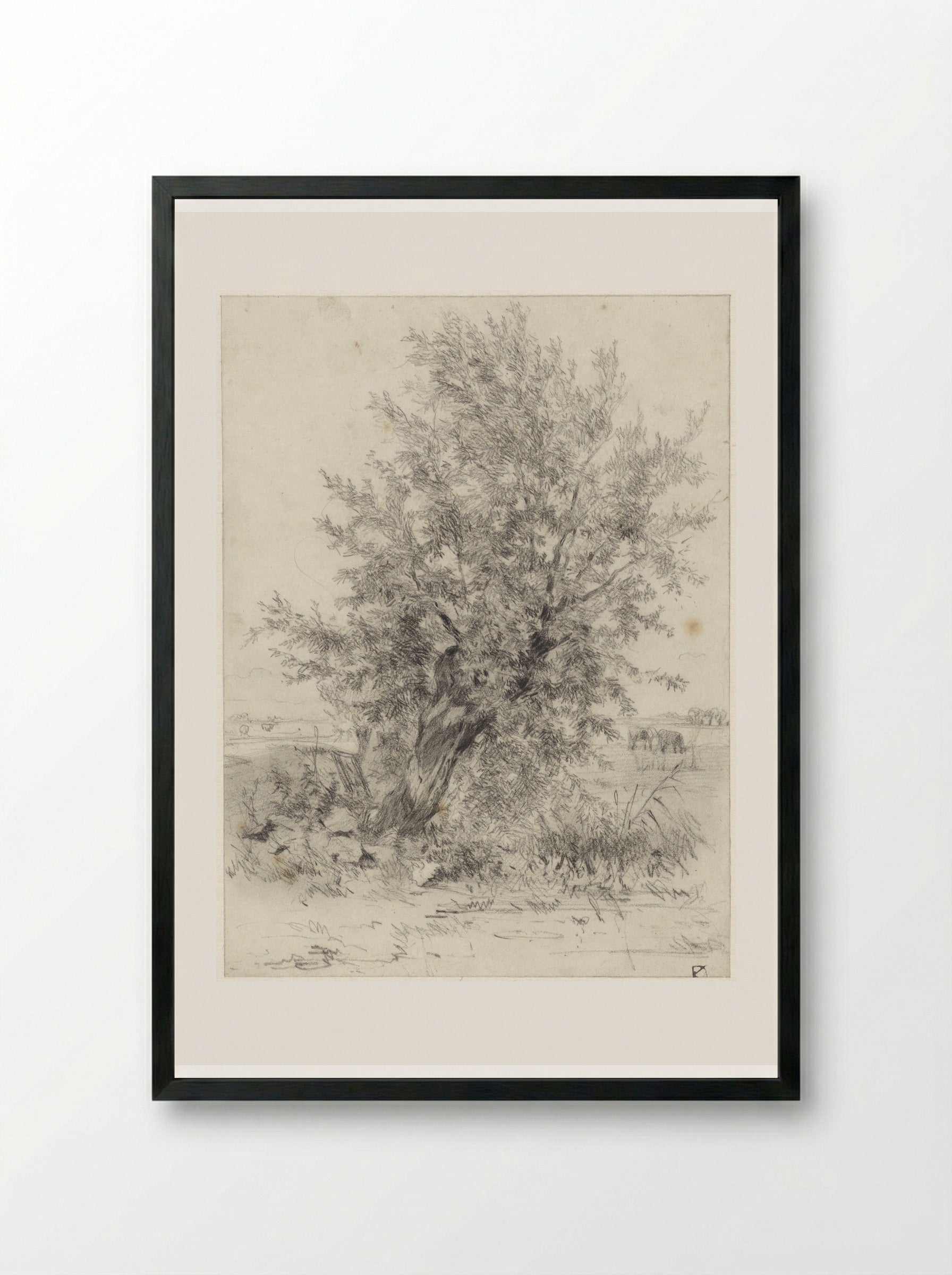 Knotwilg in een landschap - Johan Daniël Koelman - Framed Print Black
