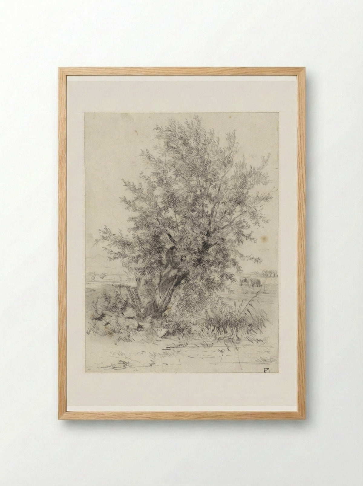 Knotwilg in een landschap - Johan Daniël Koelman - Framed Print Wood