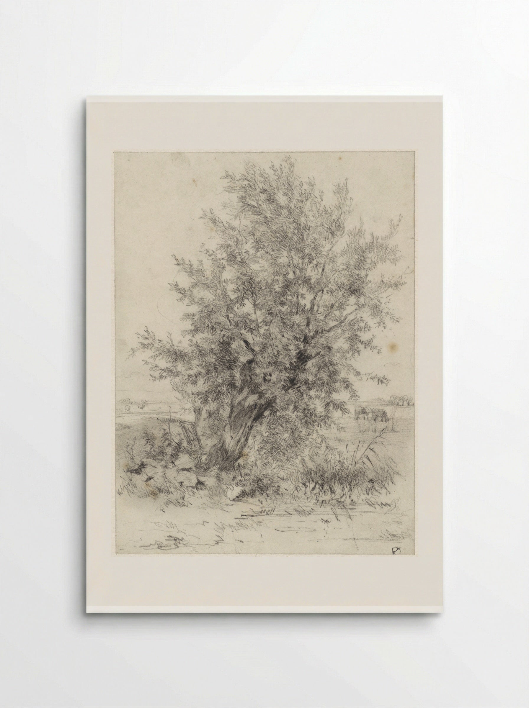 Knotwilg in een landschap - Johan Daniël Koelman - Poster