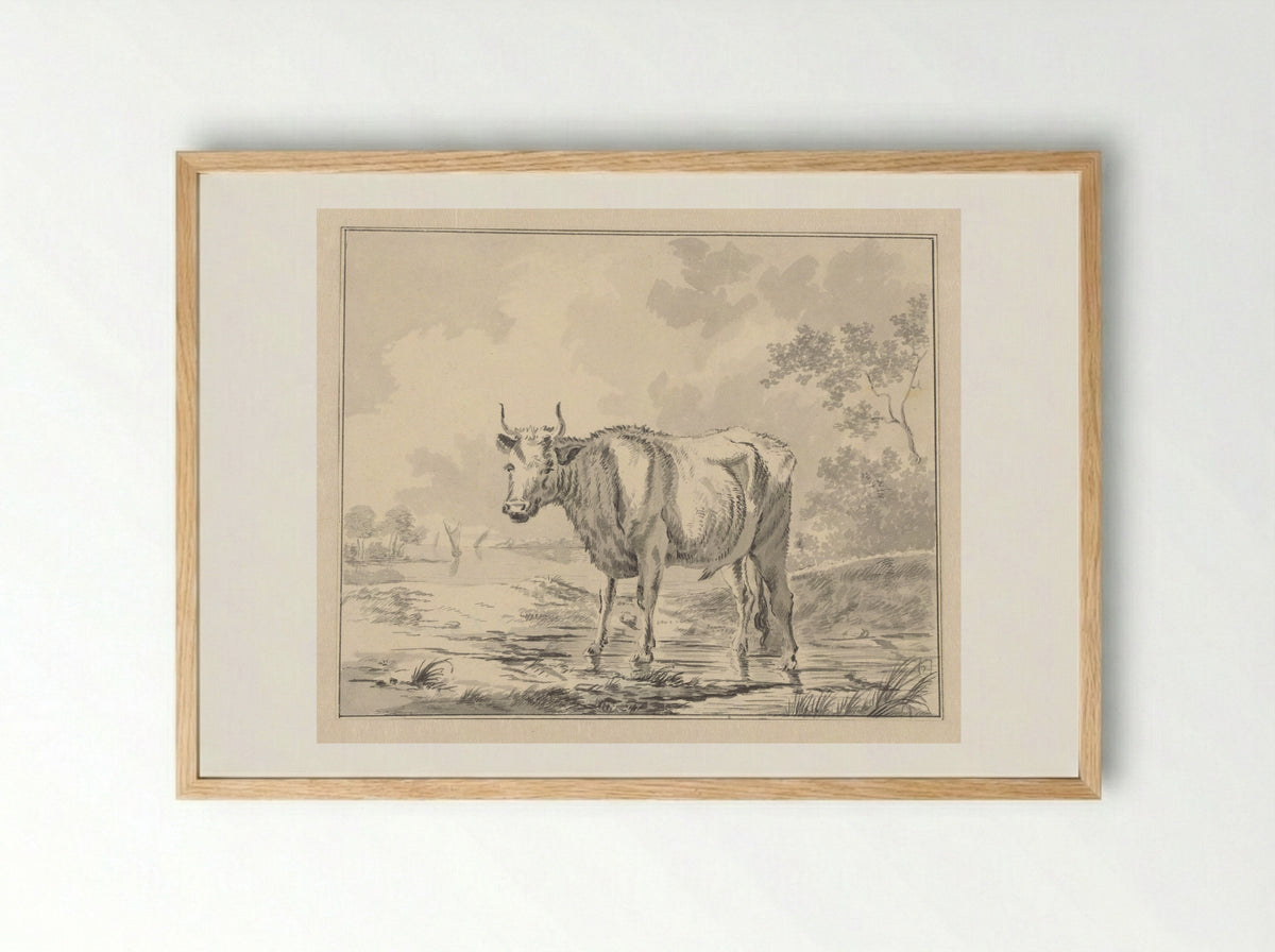 Koe in waterrijk landschap - Antonie Franciscus Dona - Framed Print Wood