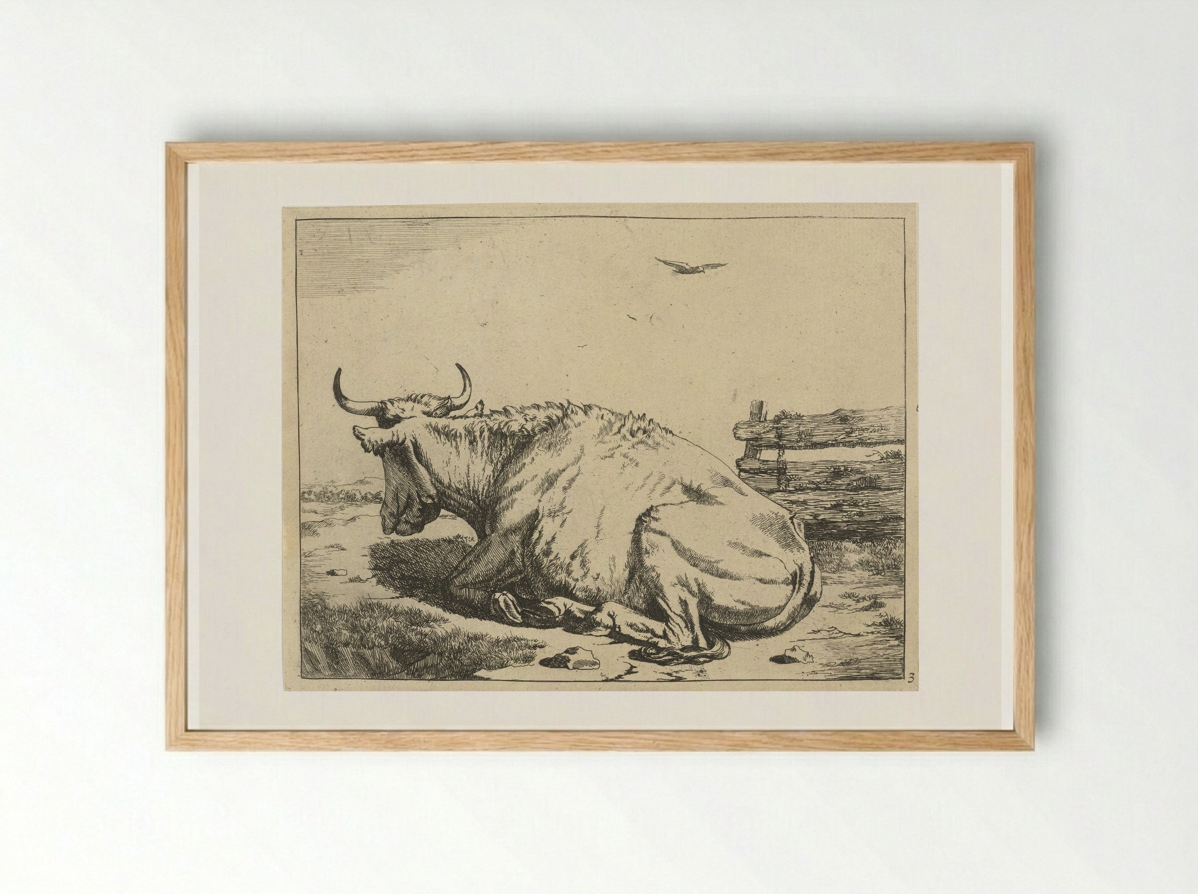 Koe liggend bij hek - Marcus de Bye - Framed Print Wood