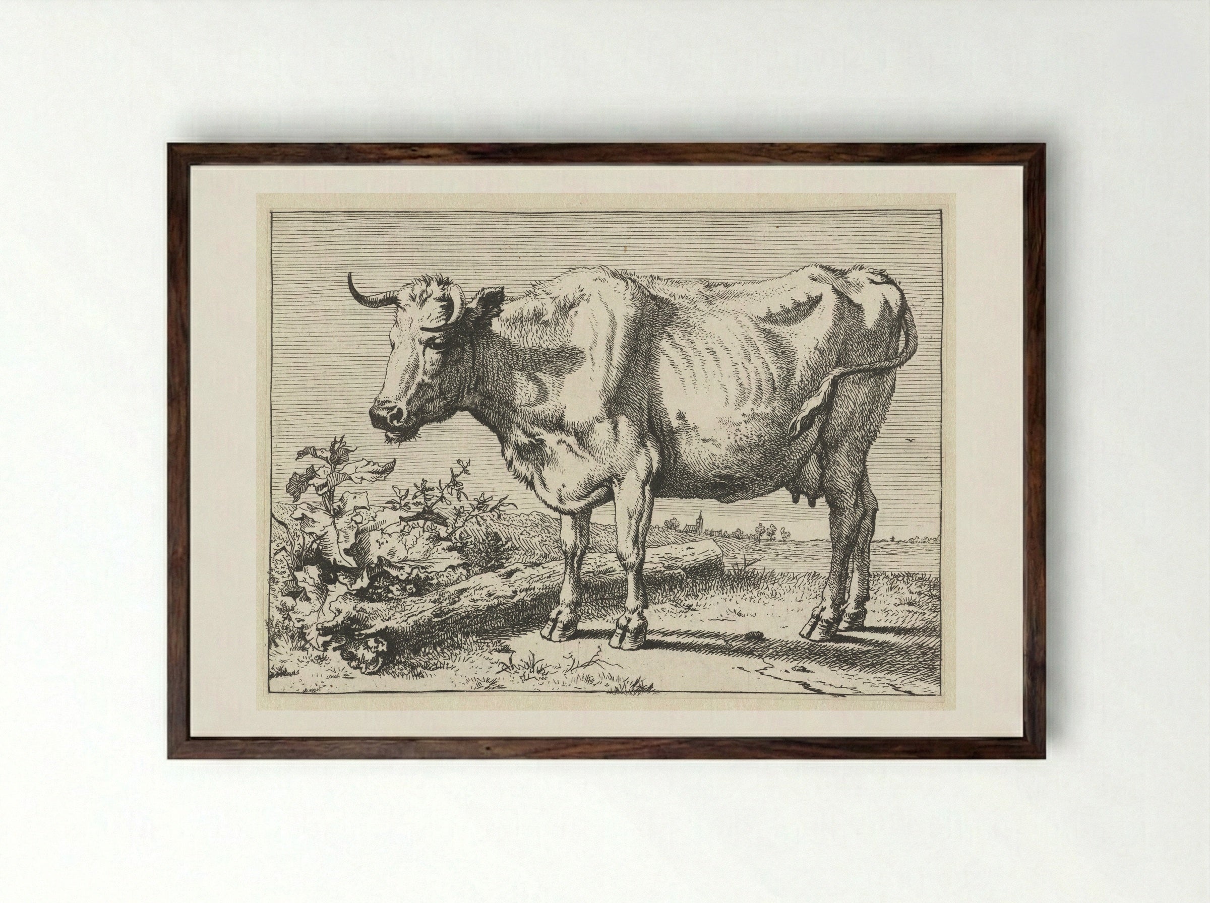 Koe met gedraaide hoorn (Cow with Twisted Horn) - Paulus Potter - Framed Print Dark Wood