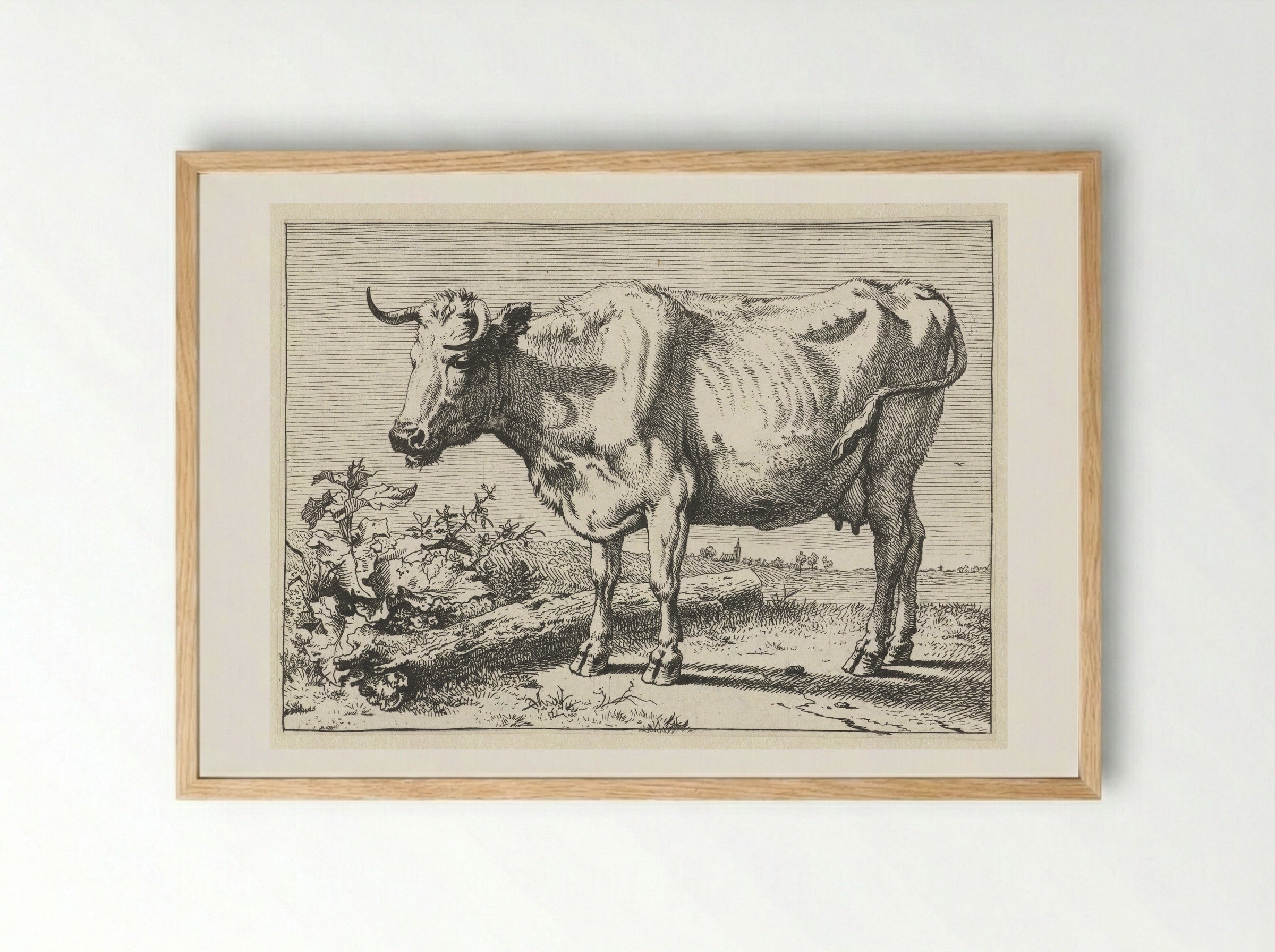 Koe met gedraaide hoorn (Cow with Twisted Horn) - Paulus Potter - Framed Print Wood