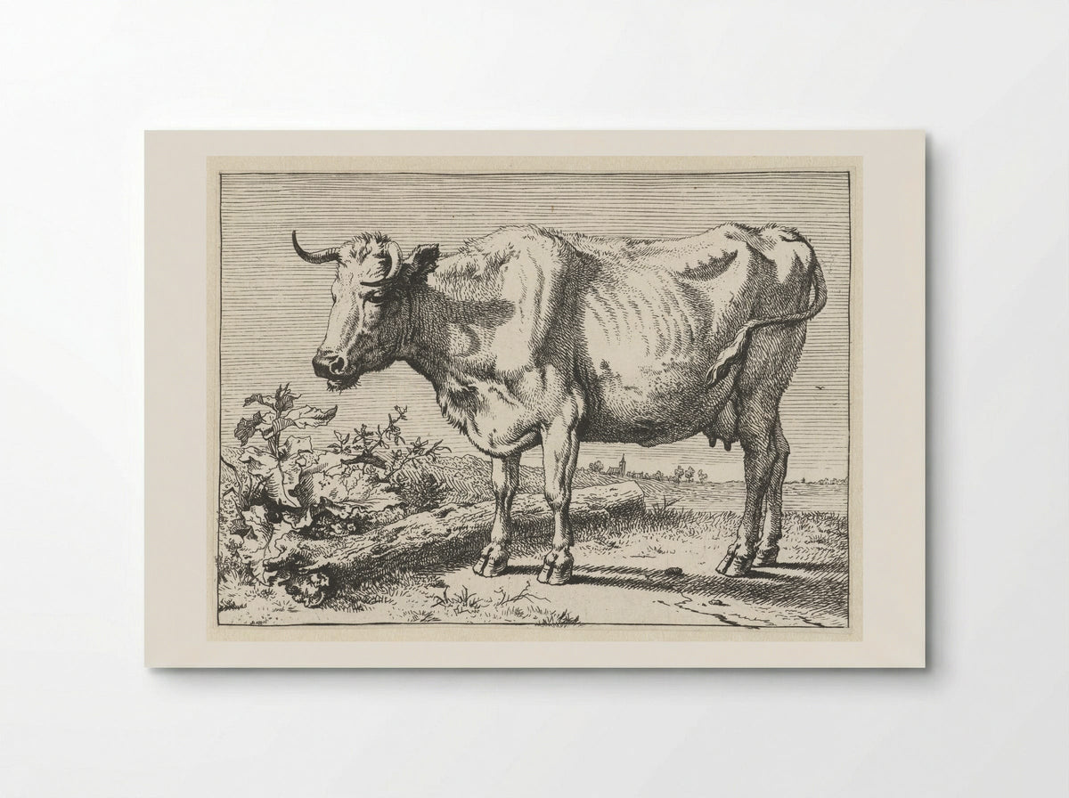 Koe met gedraaide hoorn (Cow with Twisted Horn) - Paulus Potter - Poster