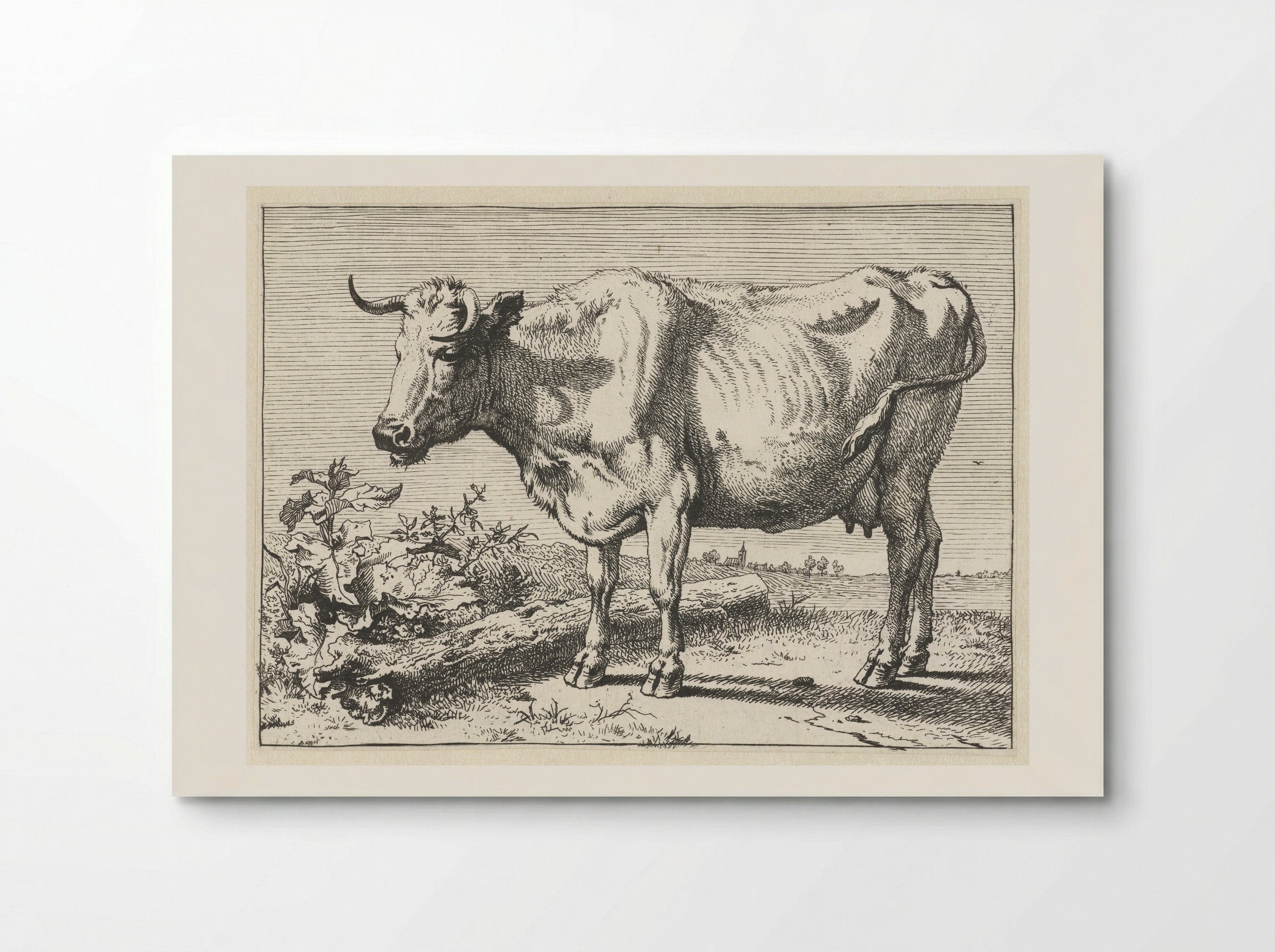 Koe met gedraaide hoorn (Cow with Twisted Horn) - Paulus Potter - Poster
