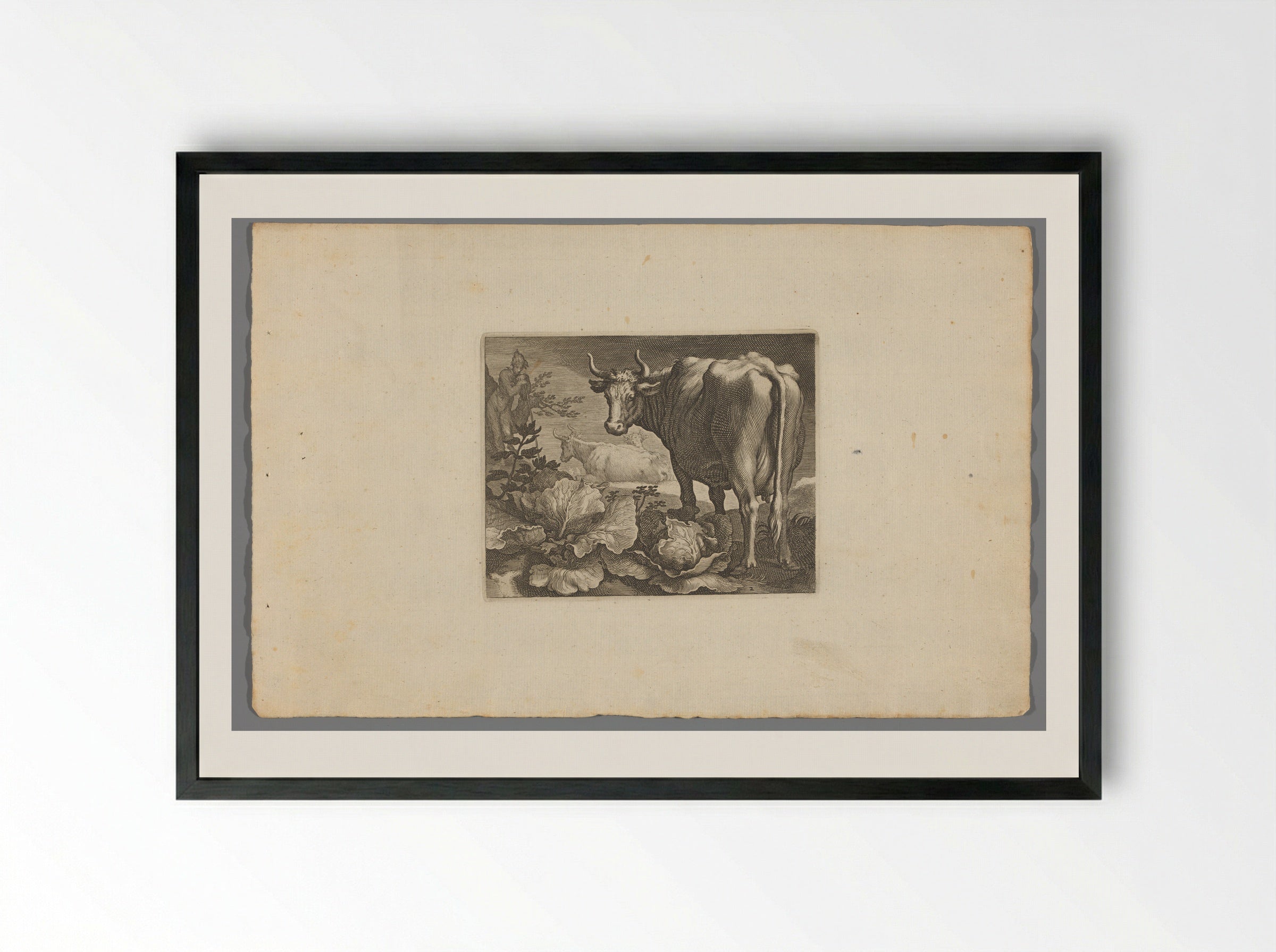 Koeien - Boëtius Adamsz. Bolswert - Framed Print Black