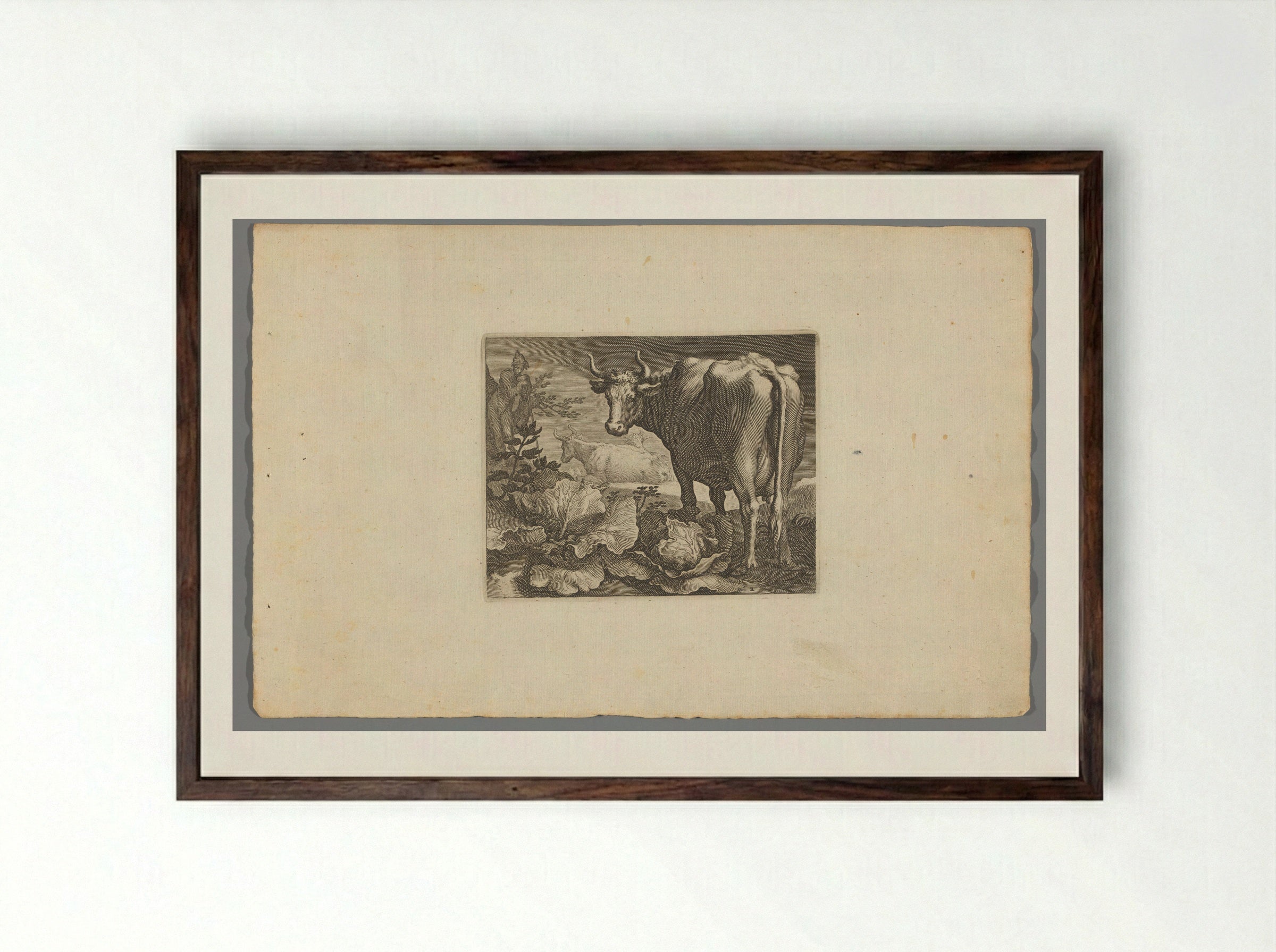Koeien - Boëtius Adamsz. Bolswert - Framed Print Dark Wood