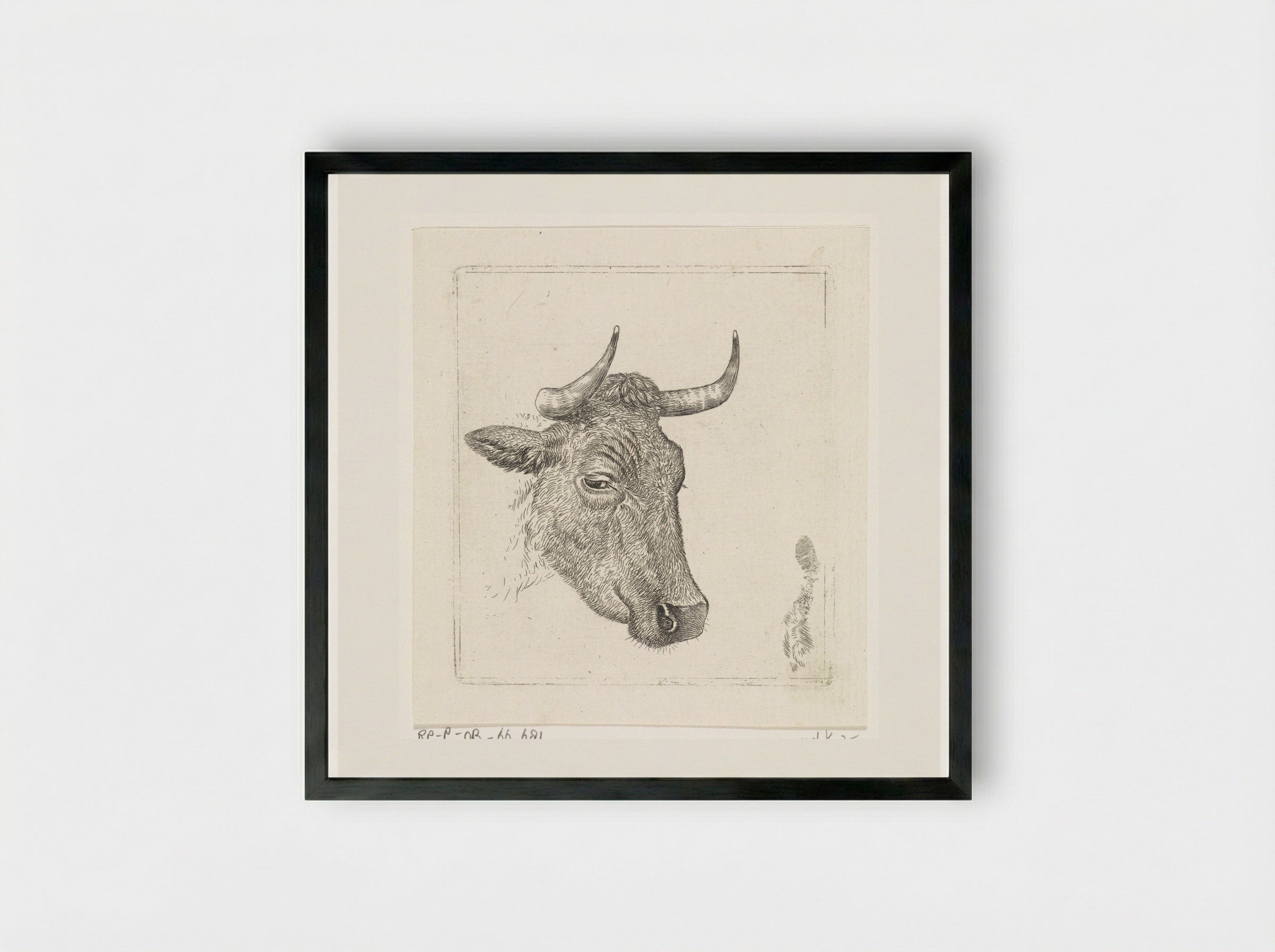 Koeienkop A - Wouter Johannes van Troostwijk - Framed Print Black