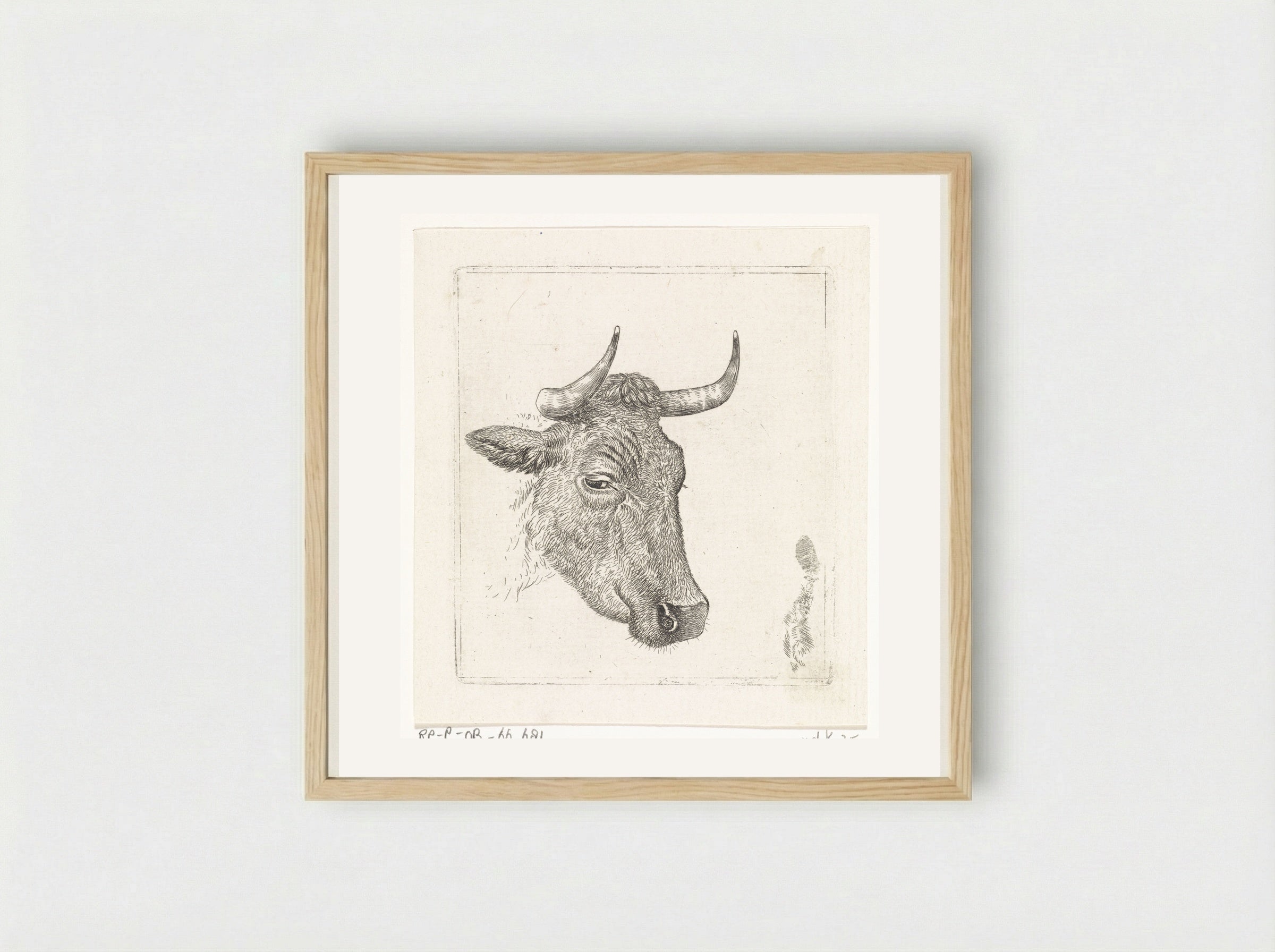 Koeienkop A - Wouter Johannes van Troostwijk - Framed Print Wood