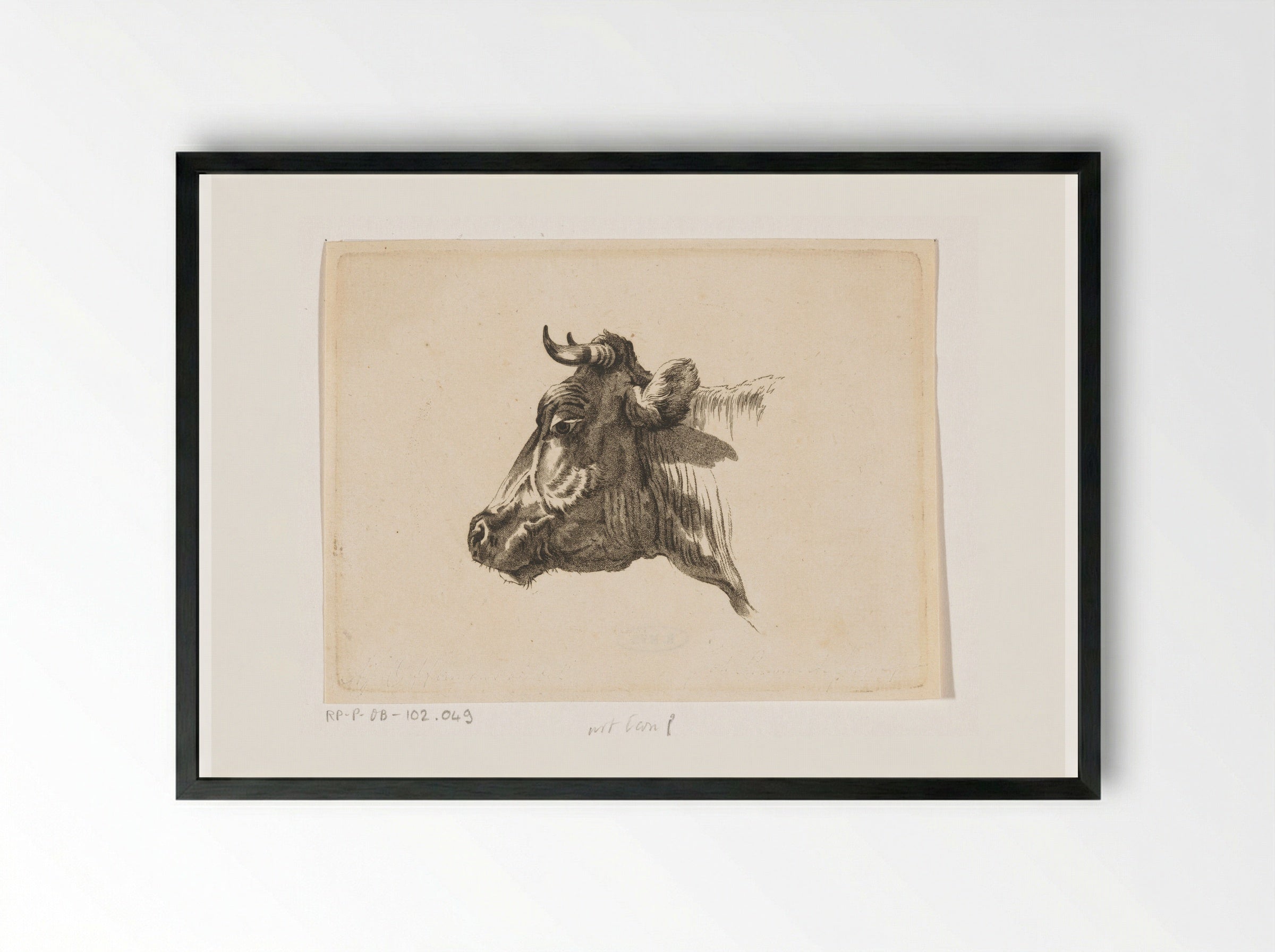 Koeienkop naar links - Joannes Bemme - Framed Print Black