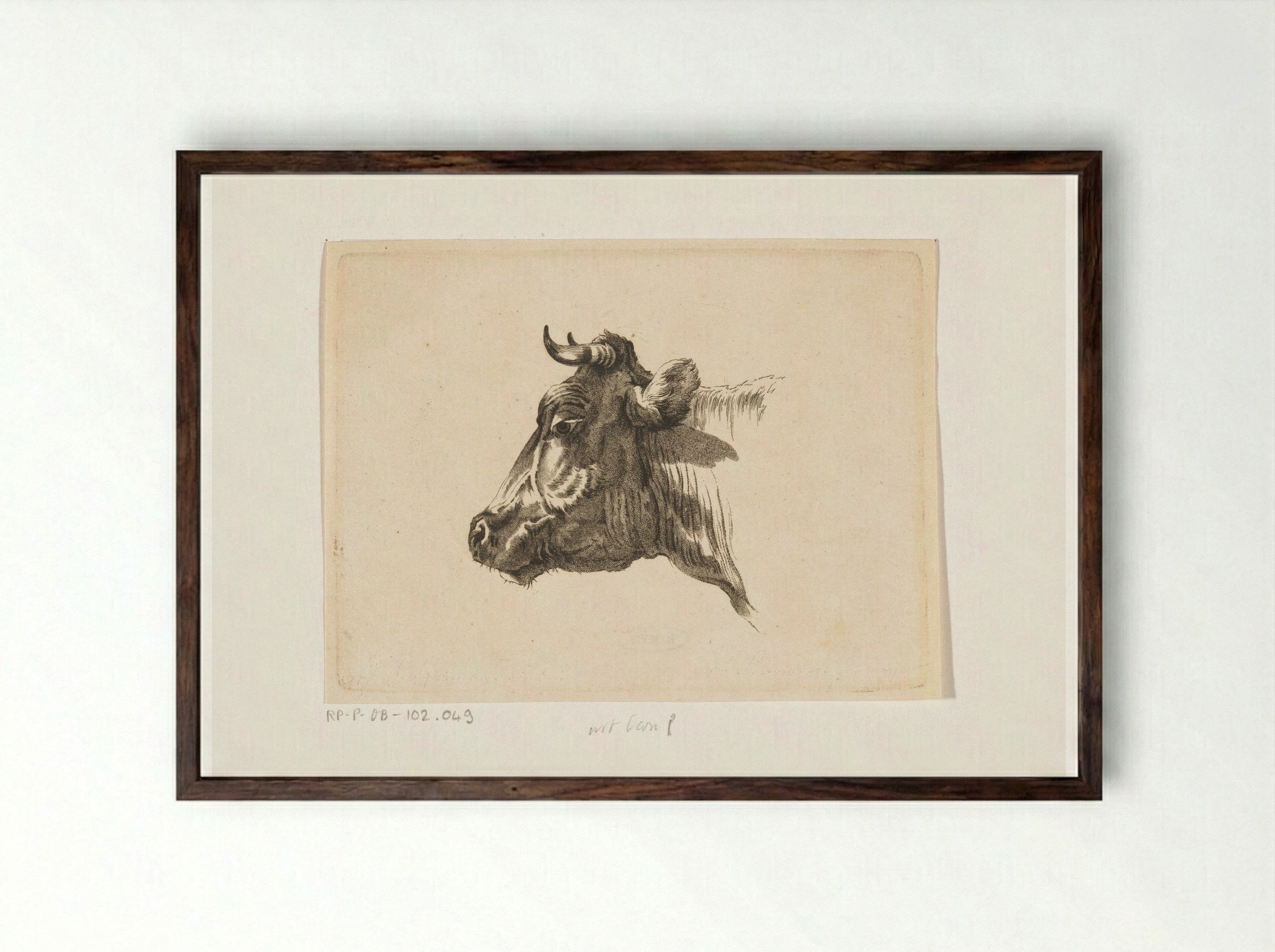 Koeienkop naar links - Joannes Bemme - Framed Print Dark Wood