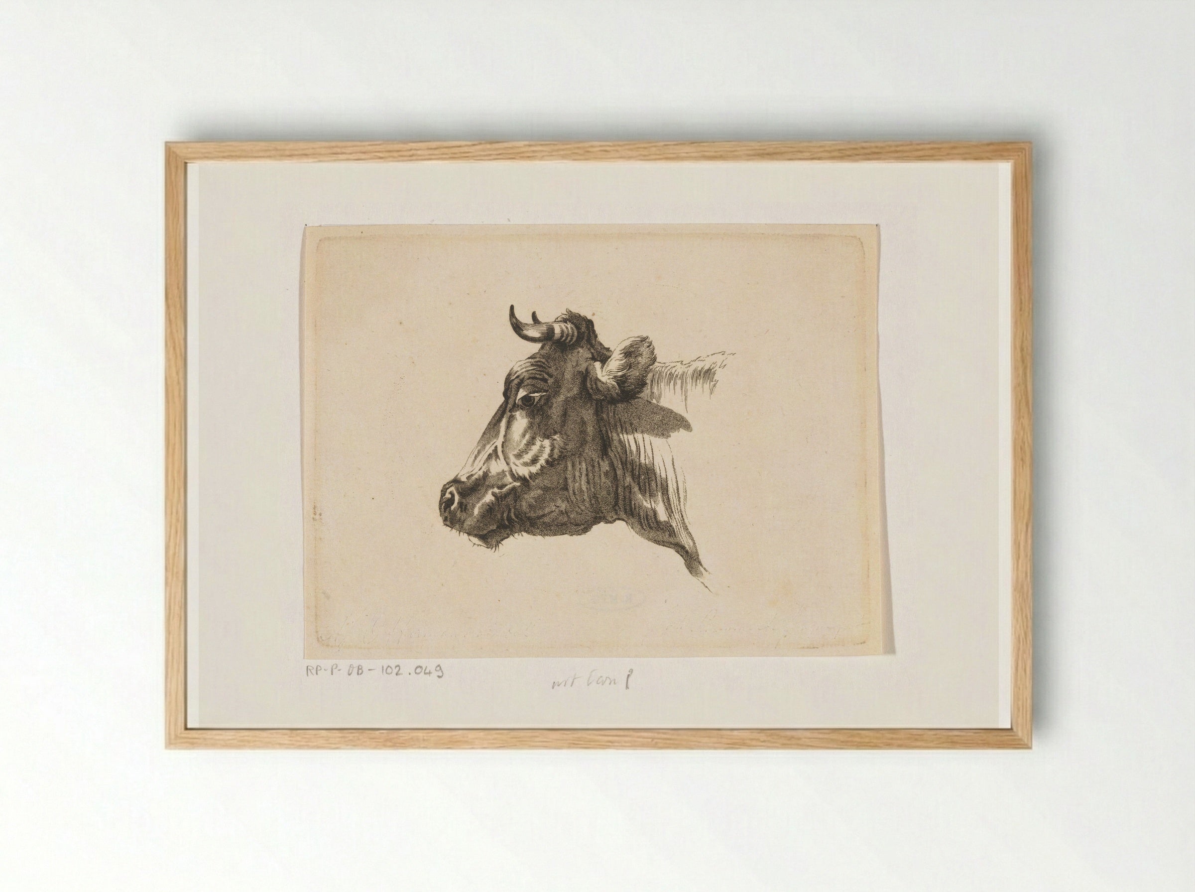 Koeienkop naar links - Joannes Bemme - Framed Print Wood