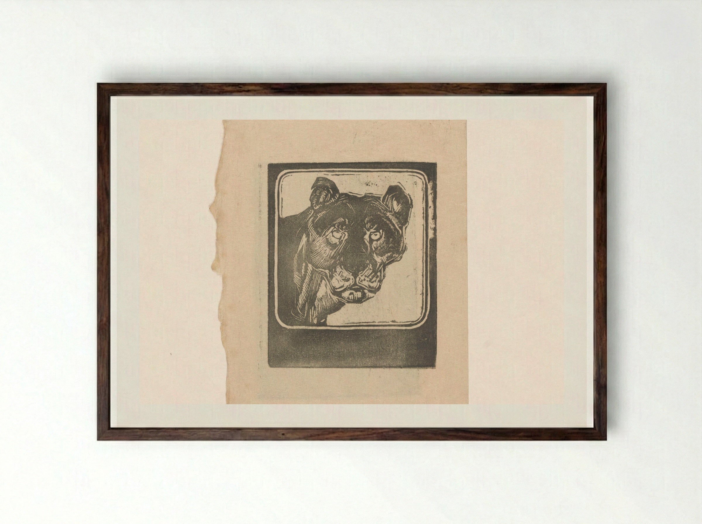 Kop van een leeuwin (Head of a Lioness) - Bernard Willem Wierink - Framed Print Dark Wood