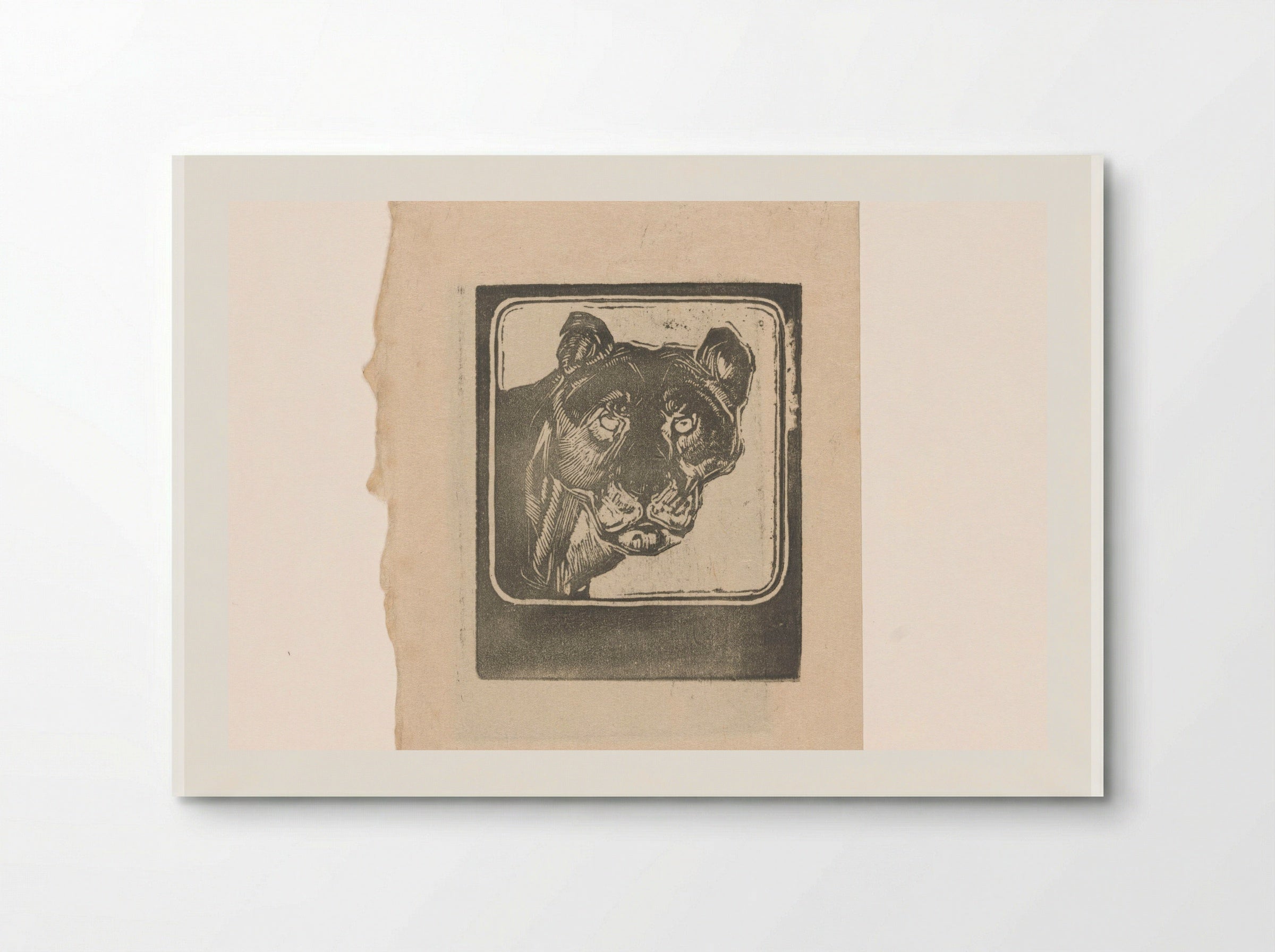 Kop van een leeuwin (Head of a Lioness) - Bernard Willem Wierink - Poster