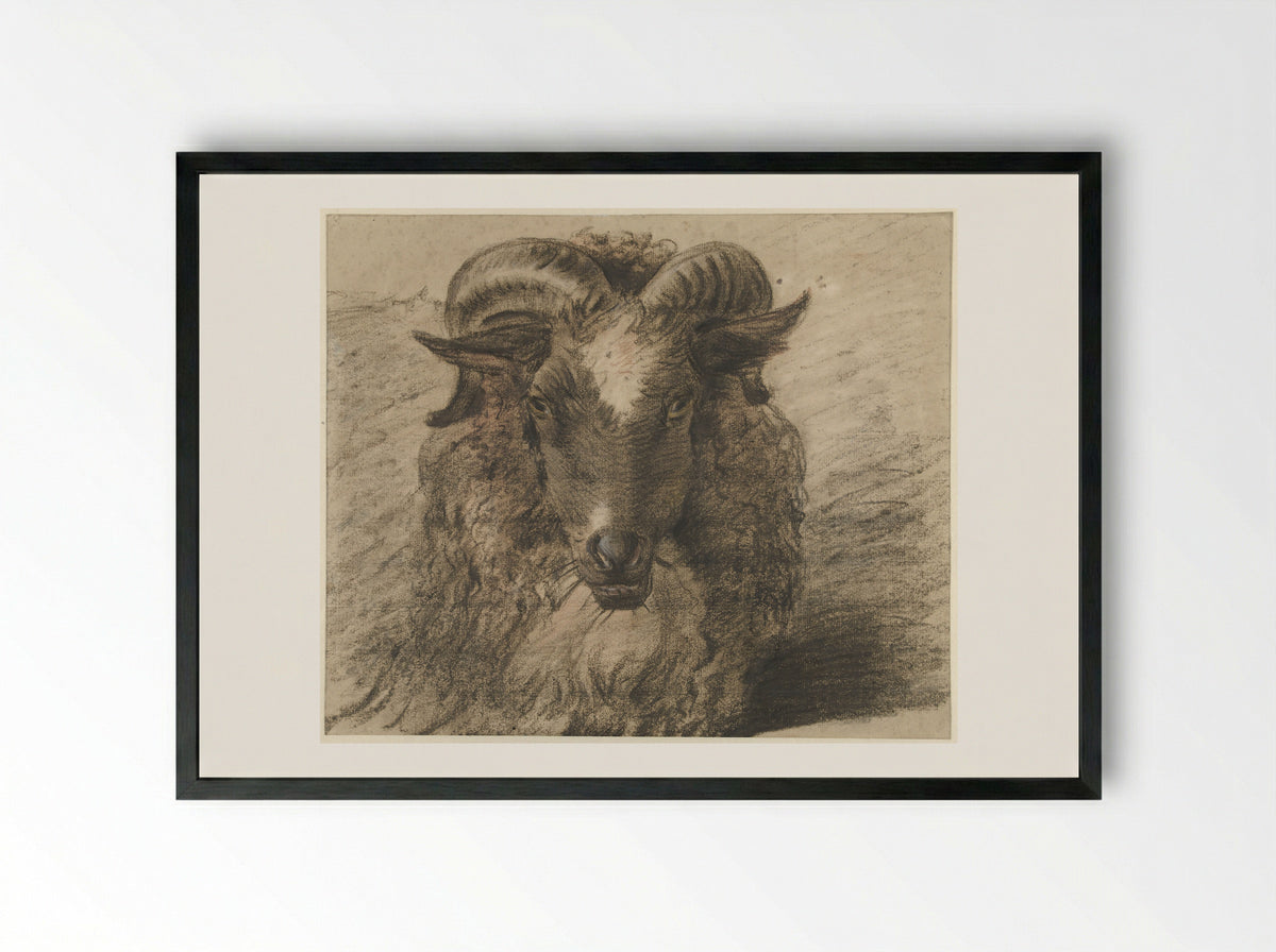 Kop van een ram - Hendrik Stokvisch - Framed Print Black