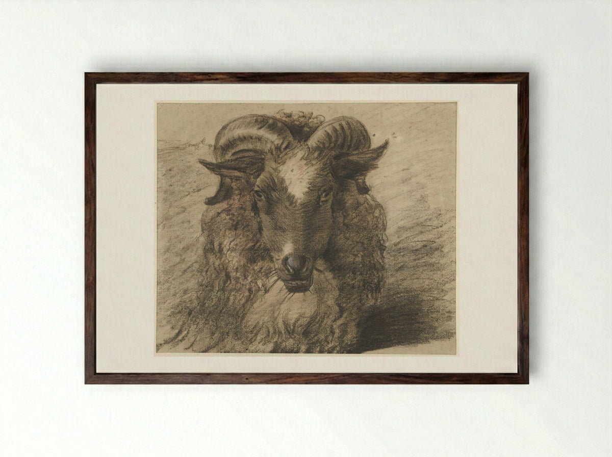 Kop van een ram - Hendrik Stokvisch - Framed Print Dark Wood