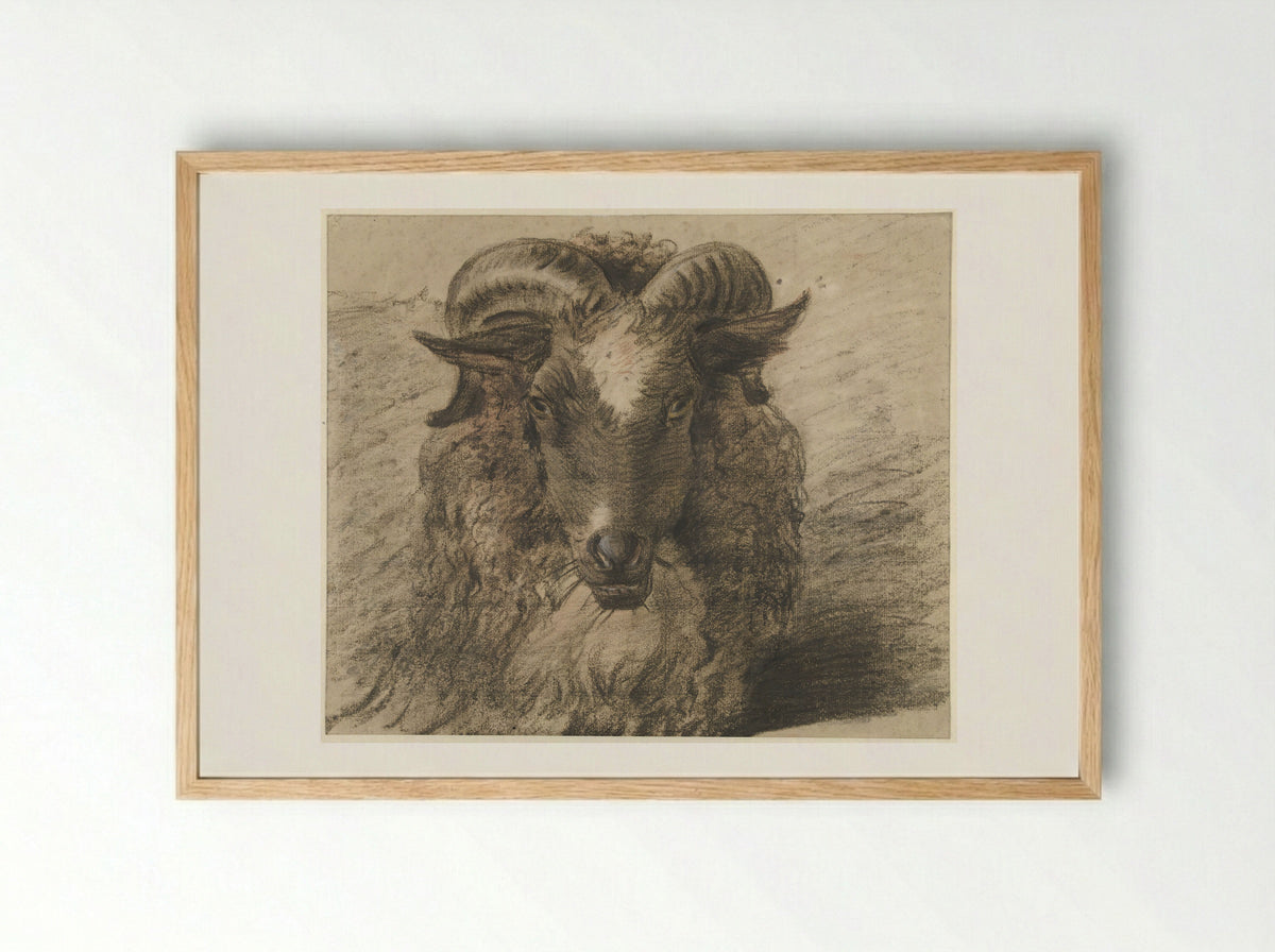 Kop van een ram - Hendrik Stokvisch - Framed Print Wood