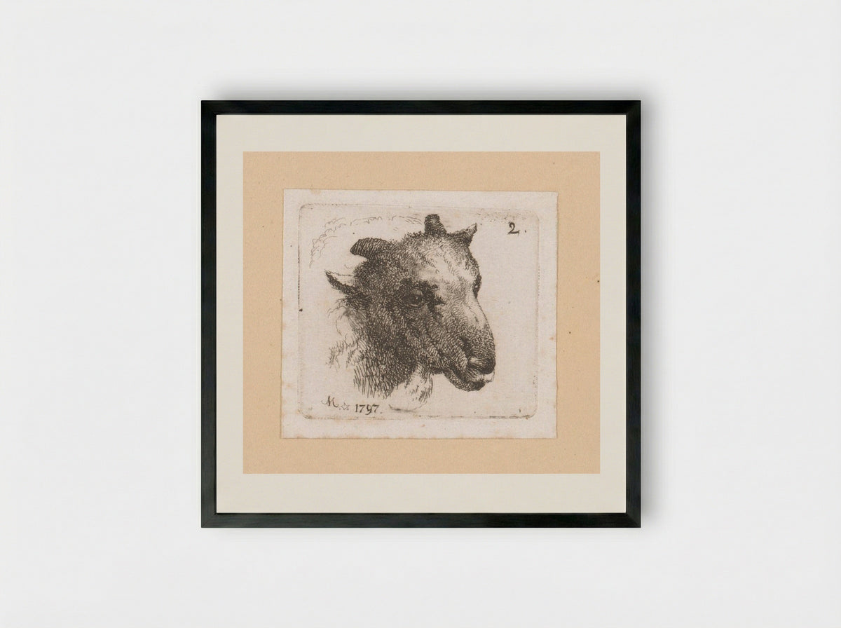 Kop van een schaap (Head of a Sheep) - Johann Friedrich Morgenstern - Framed Print Black