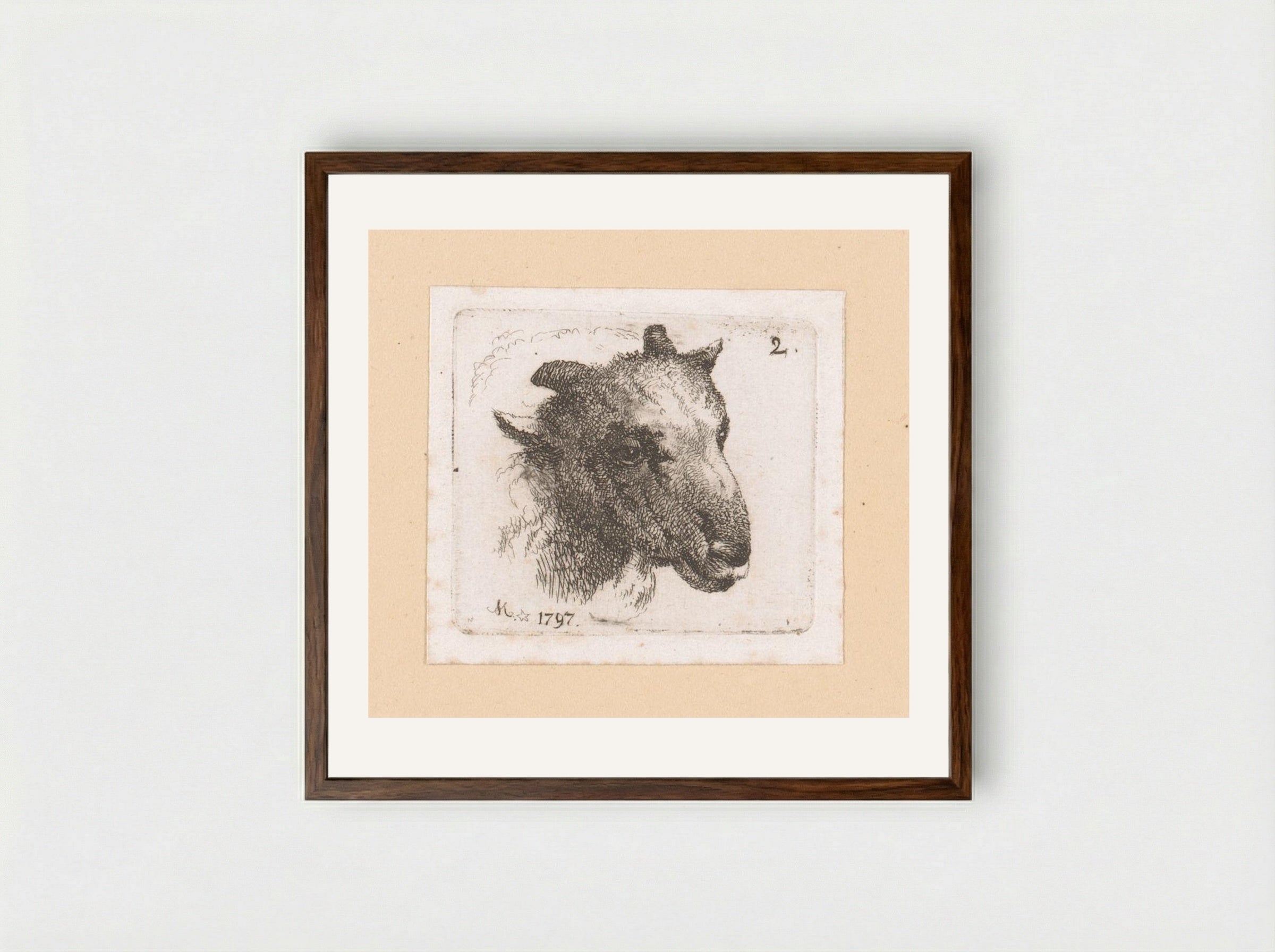 Kop van een schaap (Head of a Sheep) - Johann Friedrich Morgenstern - Framed Print Dark Wood