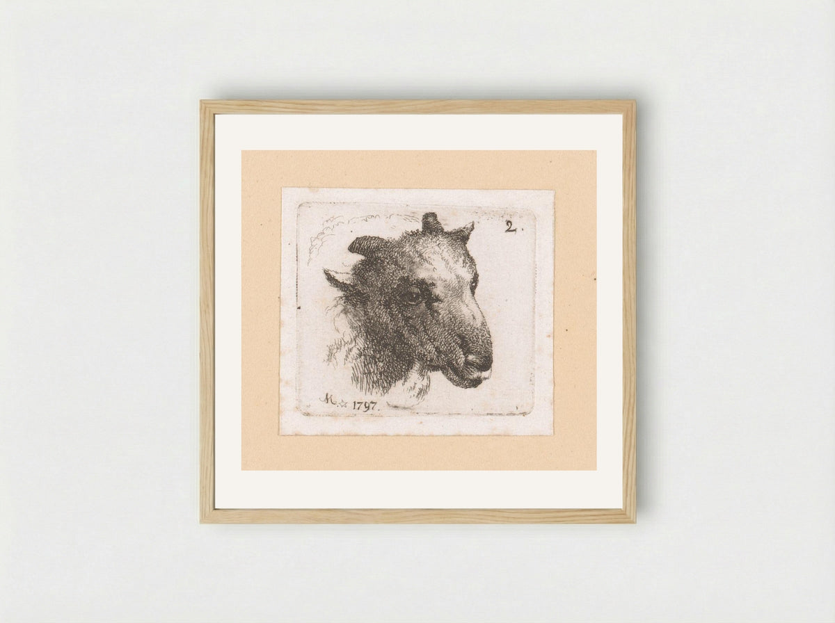 Kop van een schaap (Head of a Sheep) - Johann Friedrich Morgenstern - Framed Print Wood