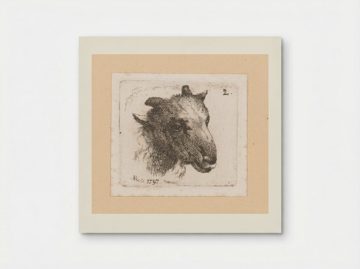 Kop van een schaap (Head of a Sheep) - Johann Friedrich Morgenstern - Poster