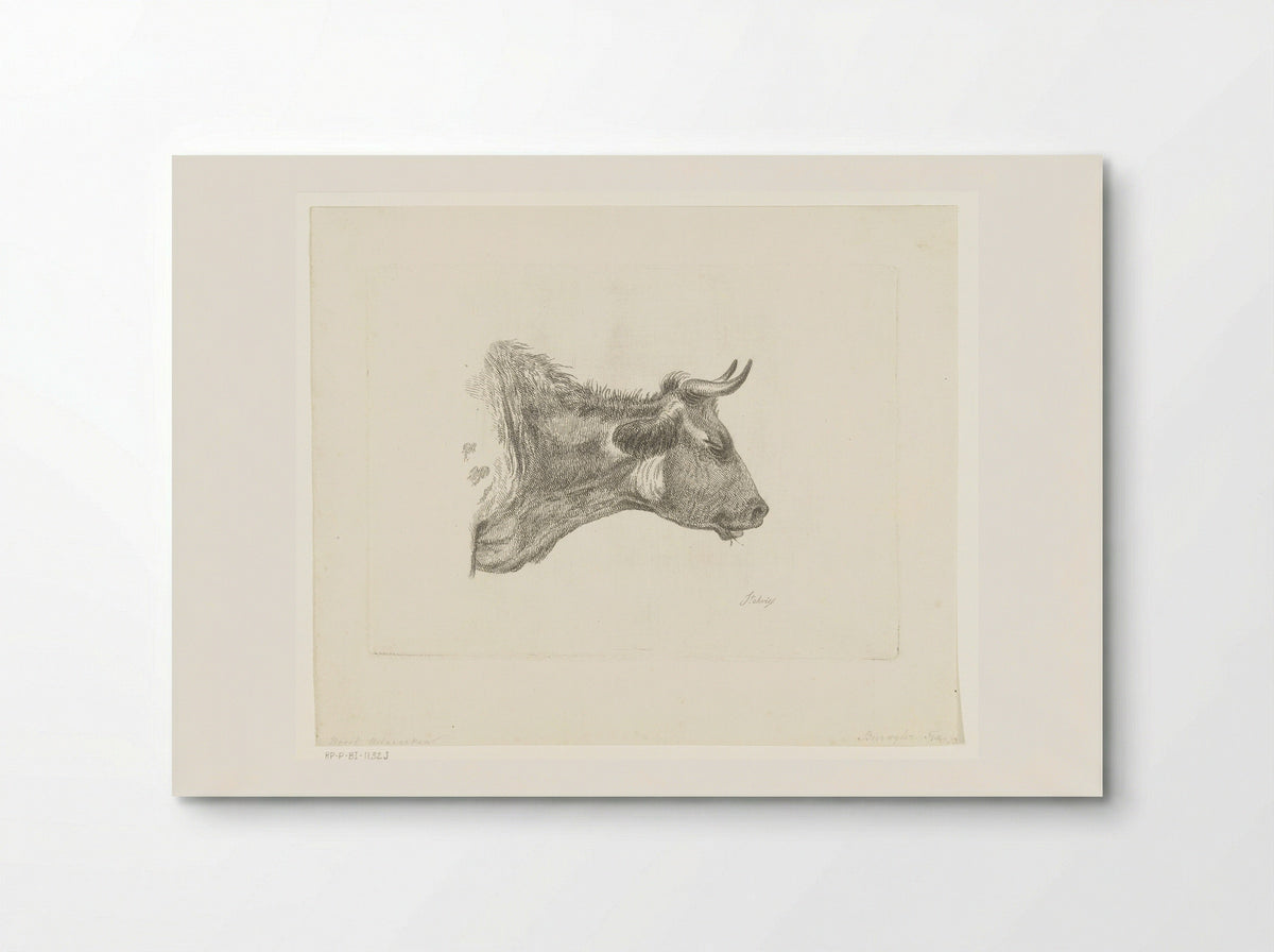 Kop van koe met grasspriet in bek - Frederik Christiaan Bierweiler - Poster