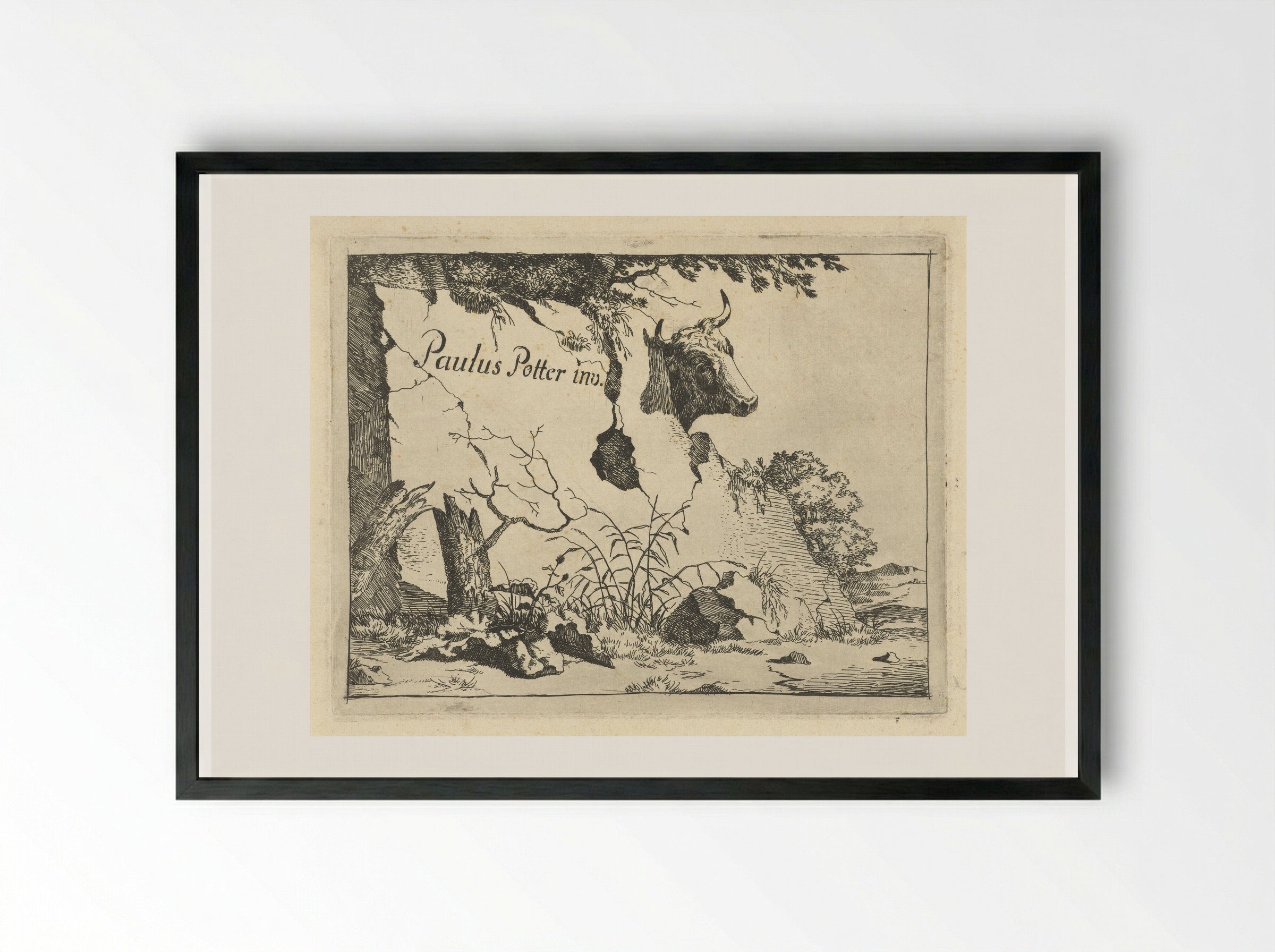 Kop van rund achter rots - Marcus de Bye - Framed Print Black
