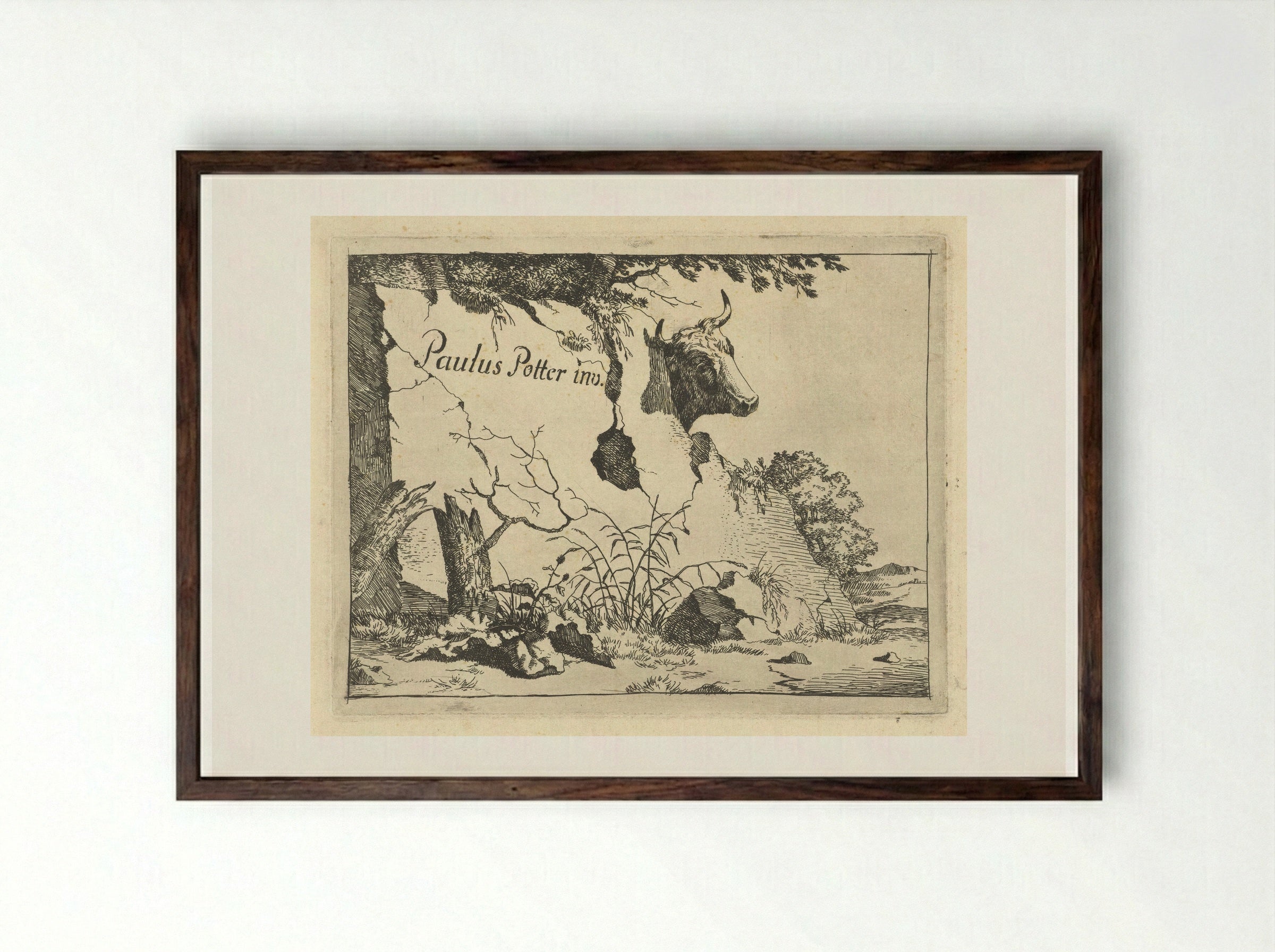 Kop van rund achter rots - Marcus de Bye - Framed Print Dark Wood