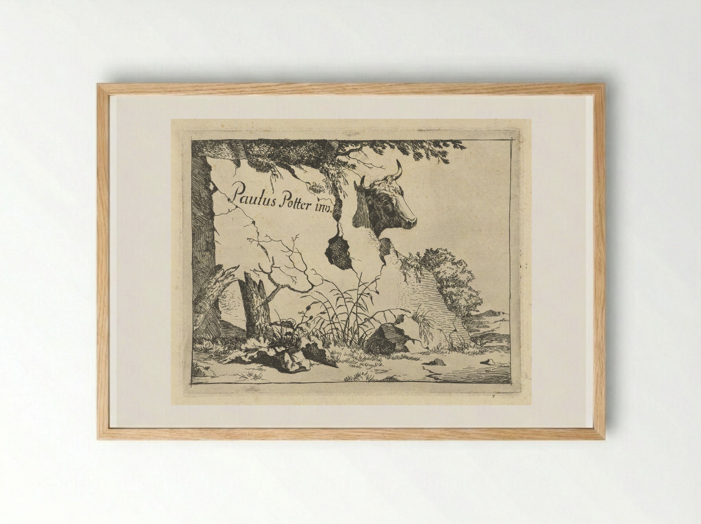 Kop van rund achter rots - Marcus de Bye - Framed Print Wood