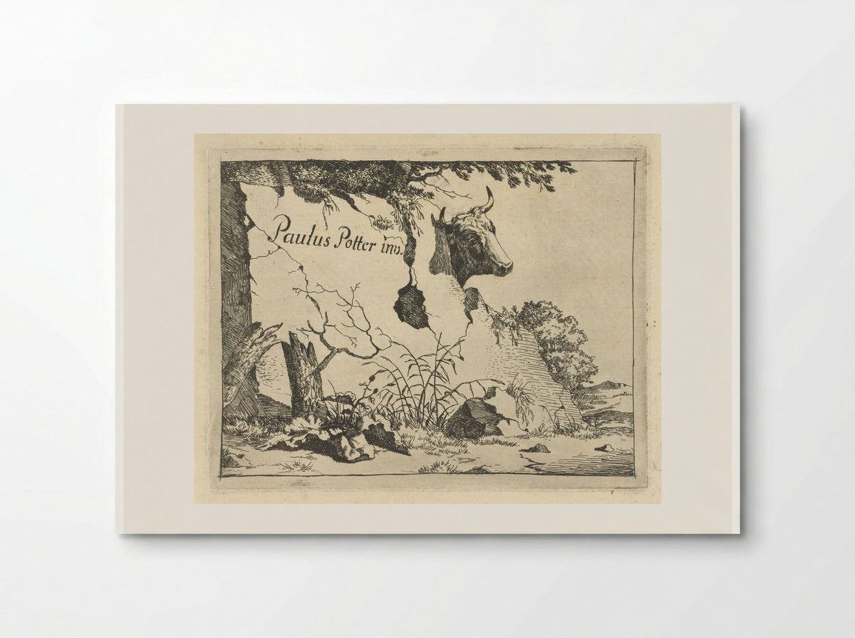 Kop van rund achter rots - Marcus de Bye - Poster