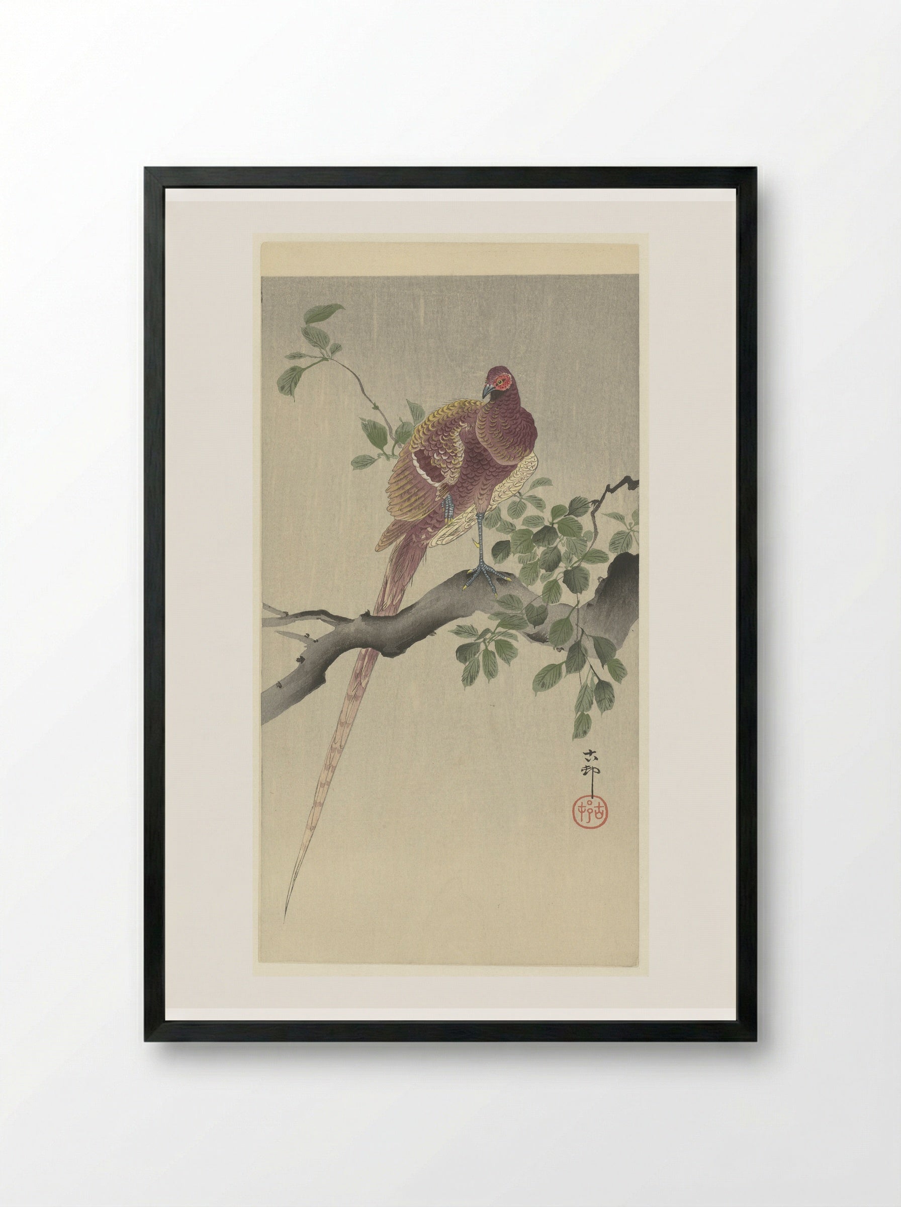 Koperfazant (Copper Pheasant) - Matsuki Heikichi - Framed Print Black