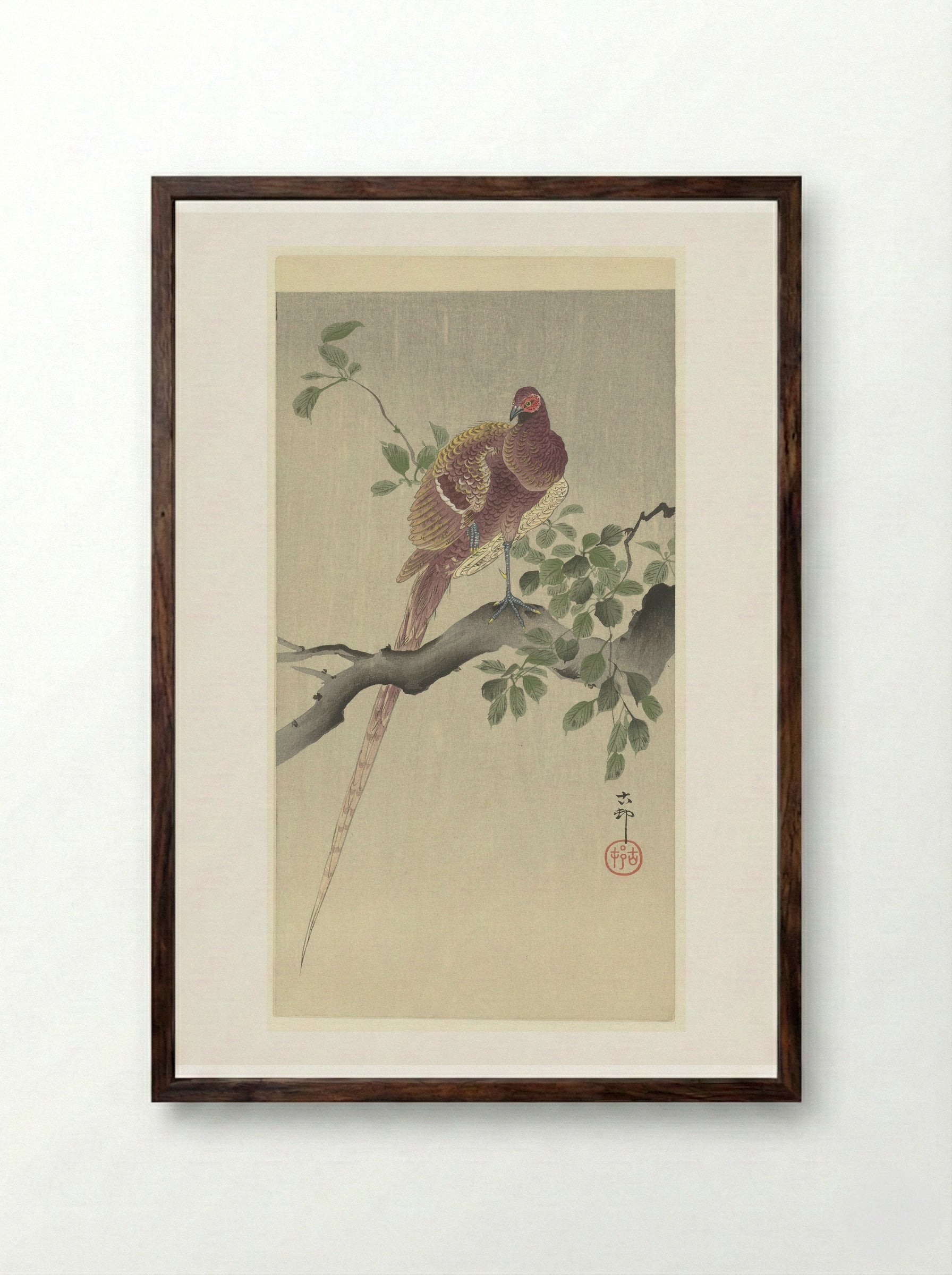Koperfazant (Copper Pheasant) - Matsuki Heikichi - Framed Print Dark Wood