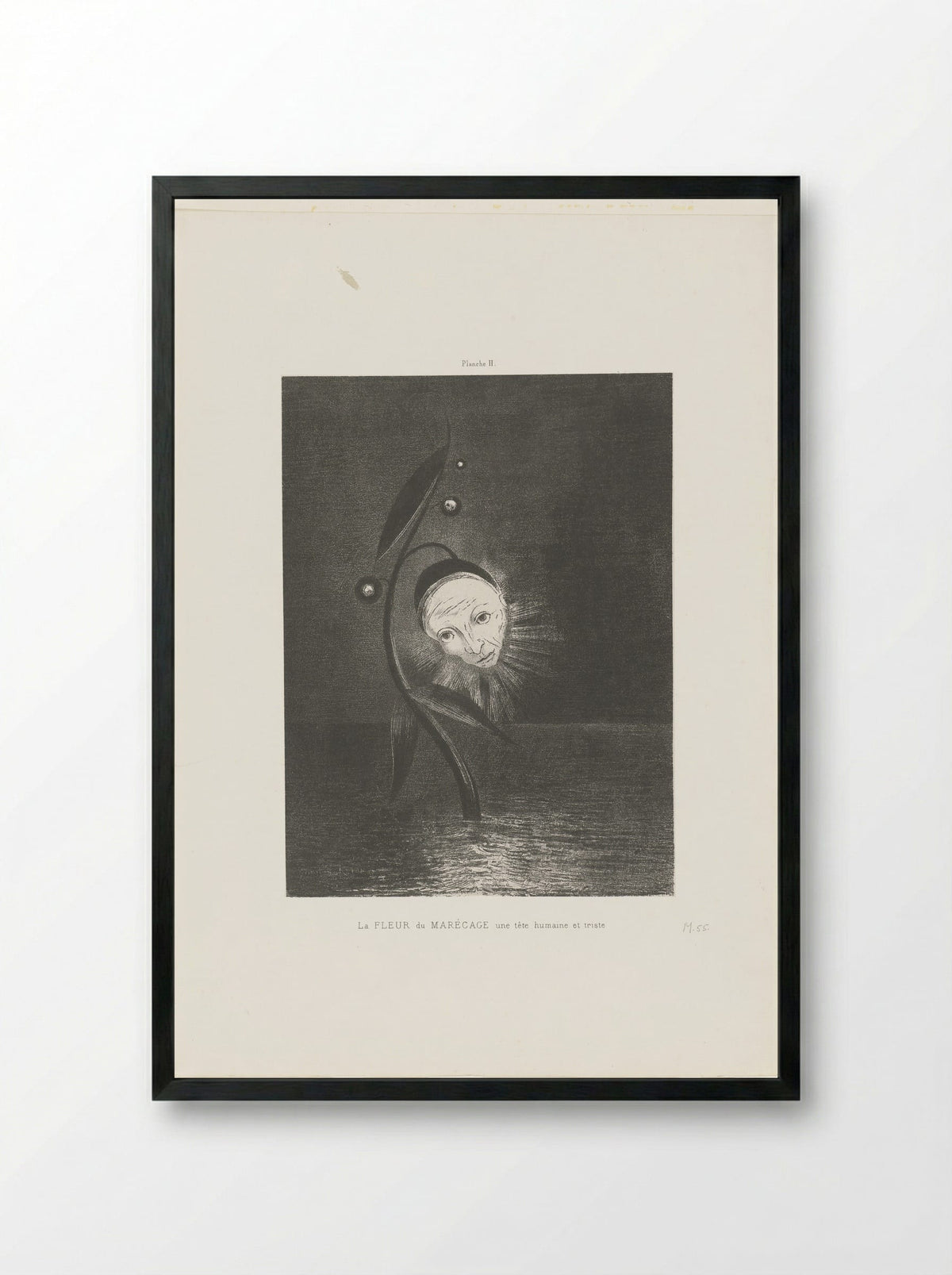 La Fleur du Marécage, une tête humaine et triste - Odilon Redon - Framed Print Black