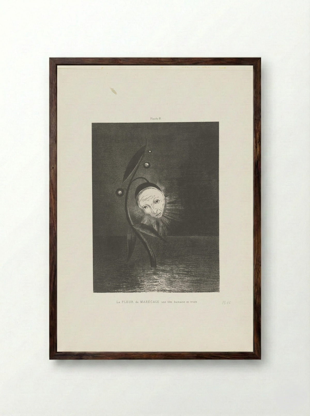 La Fleur du Marécage, une tête humaine et triste - Odilon Redon - Framed Print Dark Wood