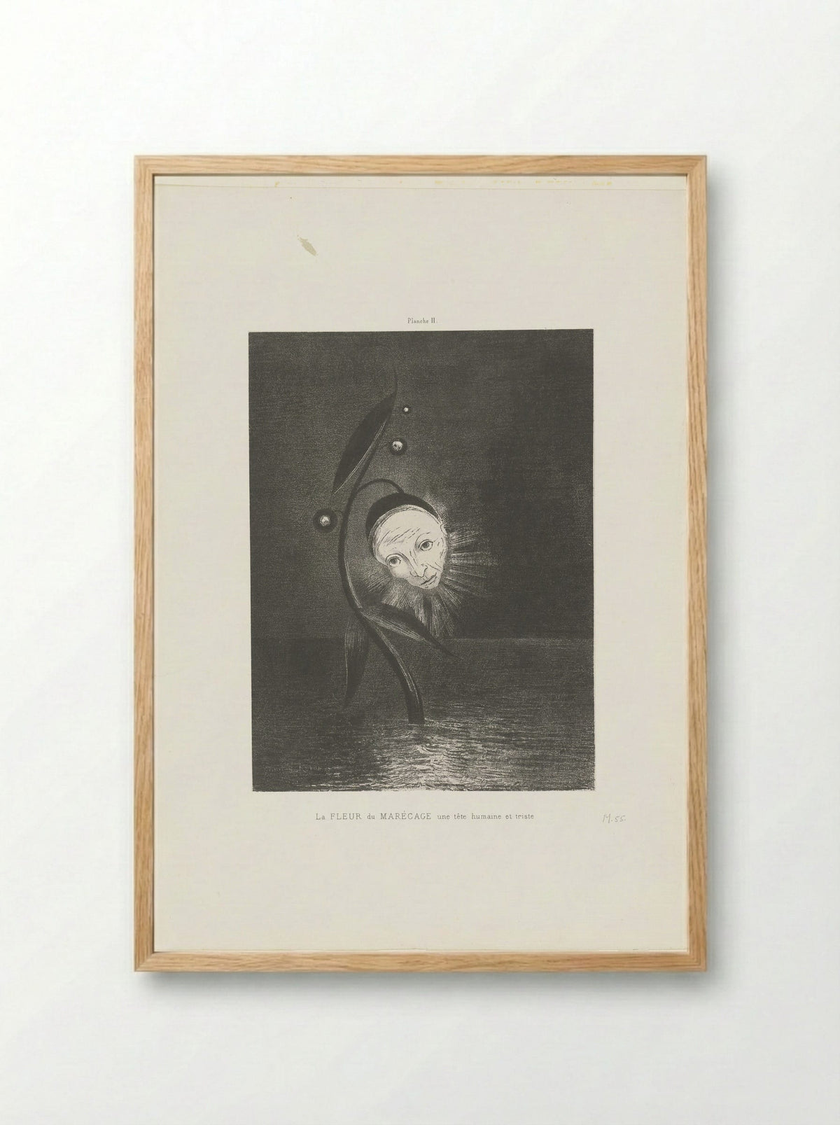 La Fleur du Marécage, une tête humaine et triste - Odilon Redon - Framed Print Wood