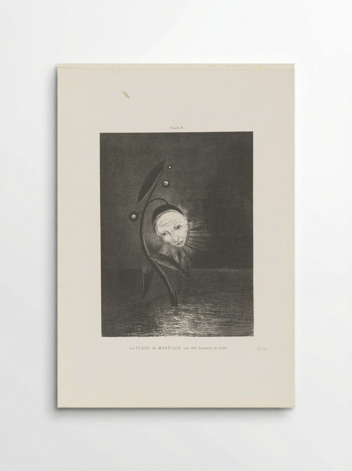 La Fleur du Marécage, une tête humaine et triste - Odilon Redon - Poster