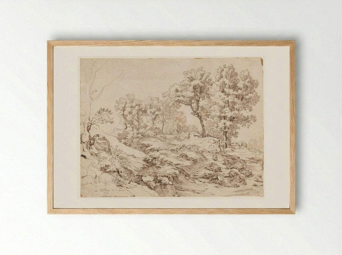 La Serpentara near Olevano - Friedrich Preller - Framed Print Wood