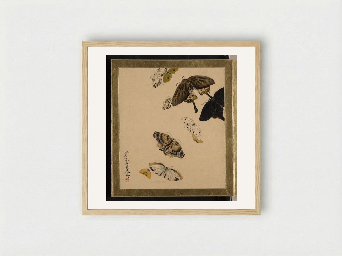 Lacquer Paintings of Various Subjects: Butterflies - Shibata Zeshin - Framed Print Wood