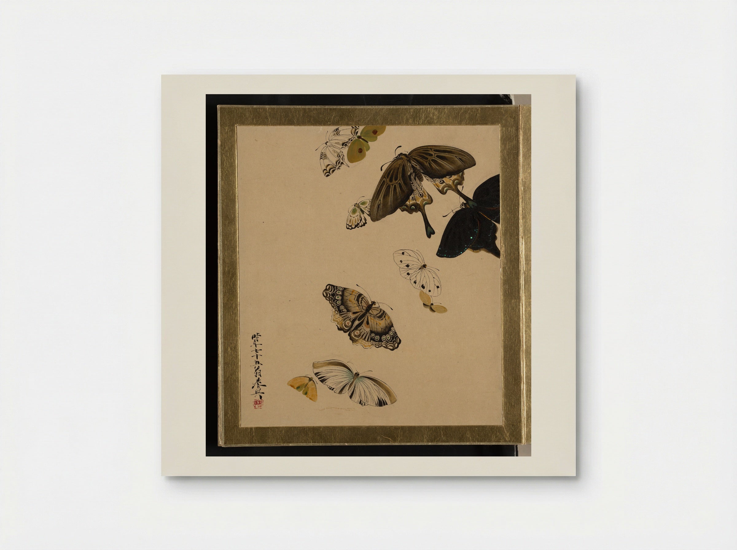 Lacquer Paintings of Various Subjects: Butterflies - Shibata Zeshin - Poster