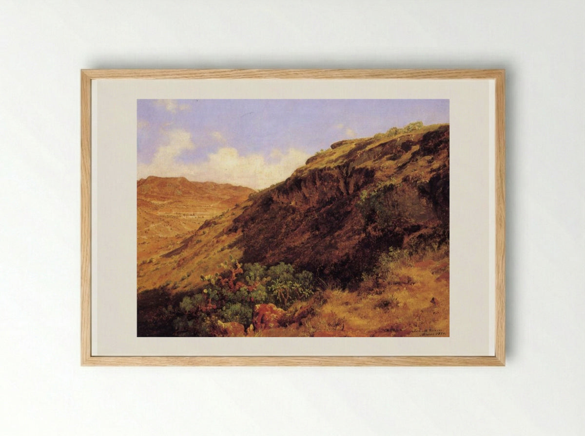 Ladera occidental del cerro de Guerrero - José María Velasco - Framed Print Wood