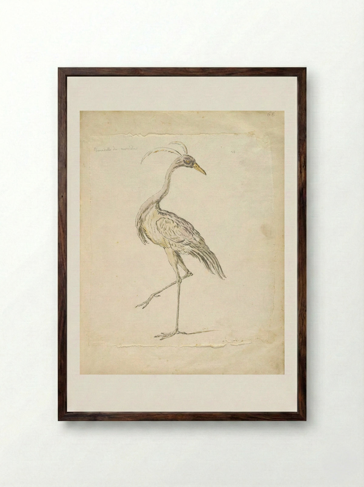 Lady of Numidia - Jean-Baptiste Oudry - Framed Print Dark Wood